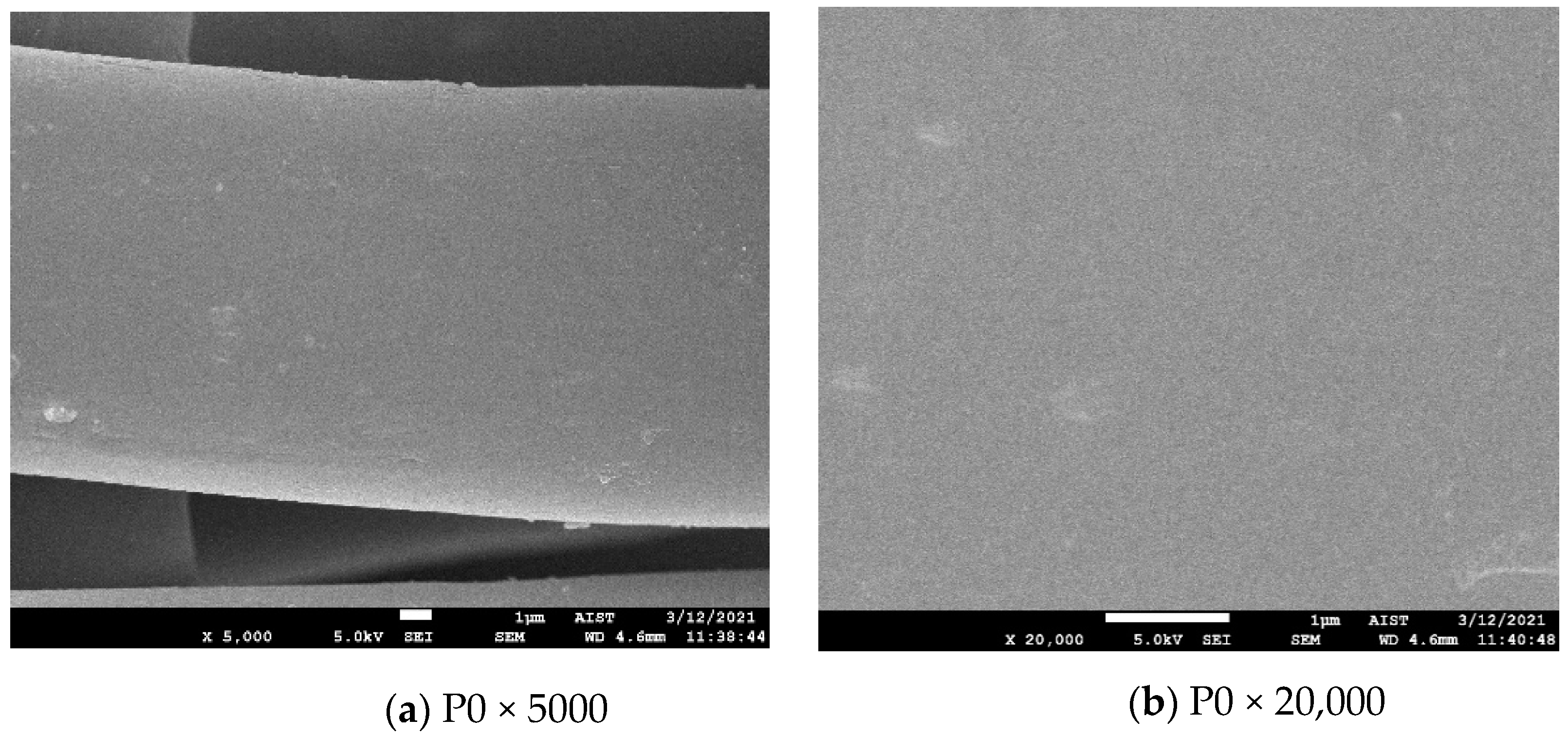 Polymers 13 01434 g002a Polymers 13 01434 g002a