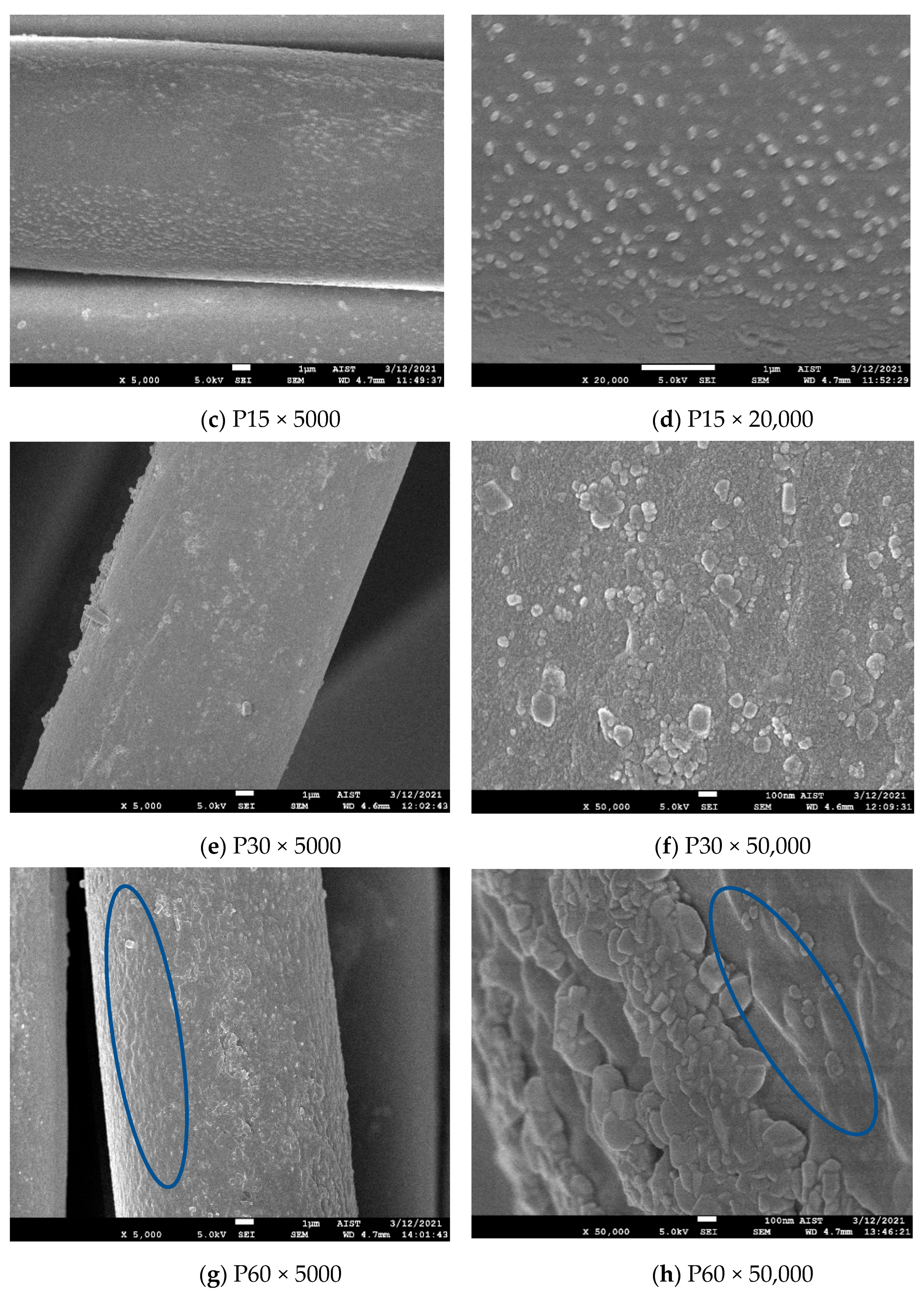 Polymers 13 01434 g002b Polymers 13 01434 g002b