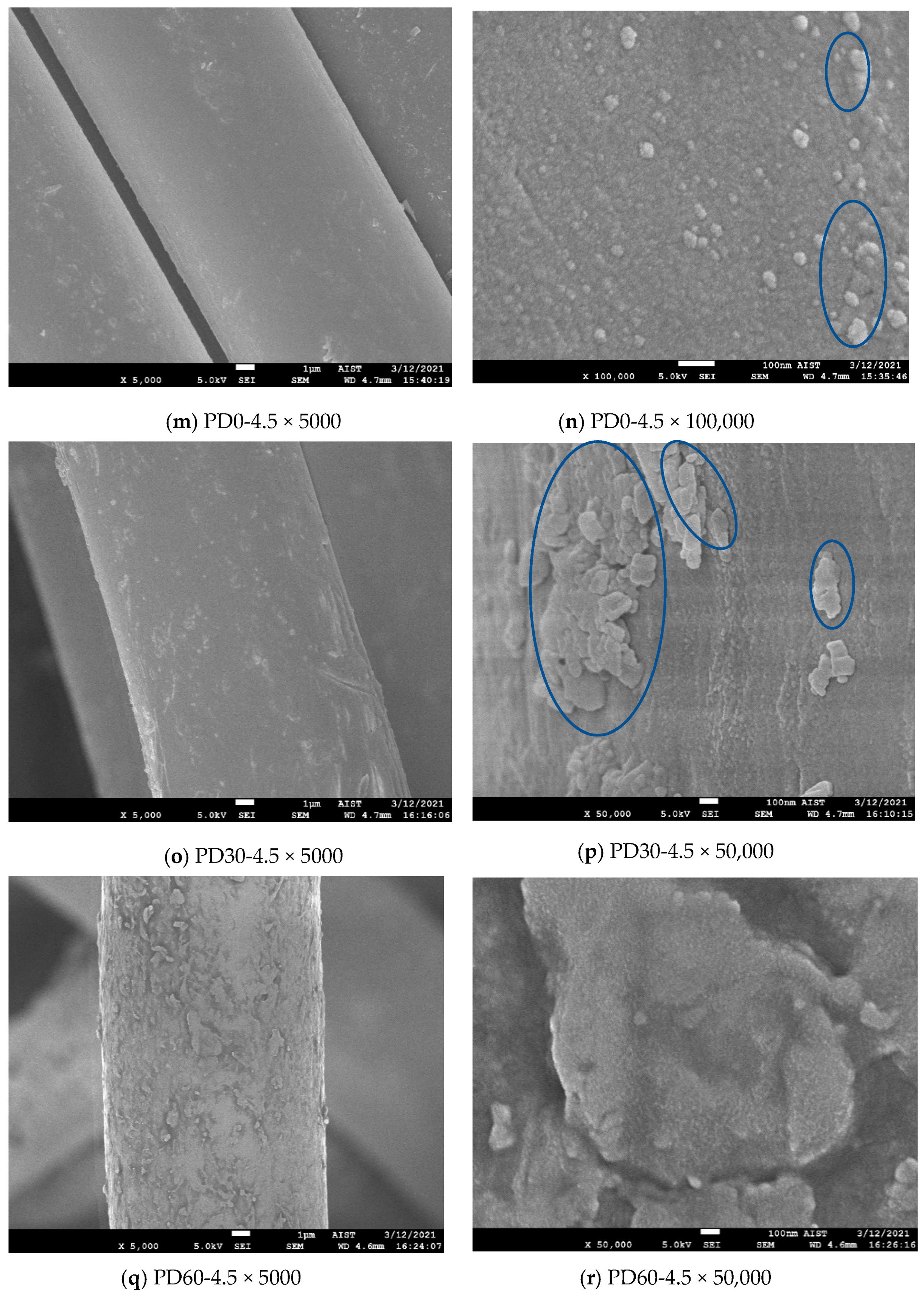 Polymers 13 01434 g006c Polymers 13 01434 g006c