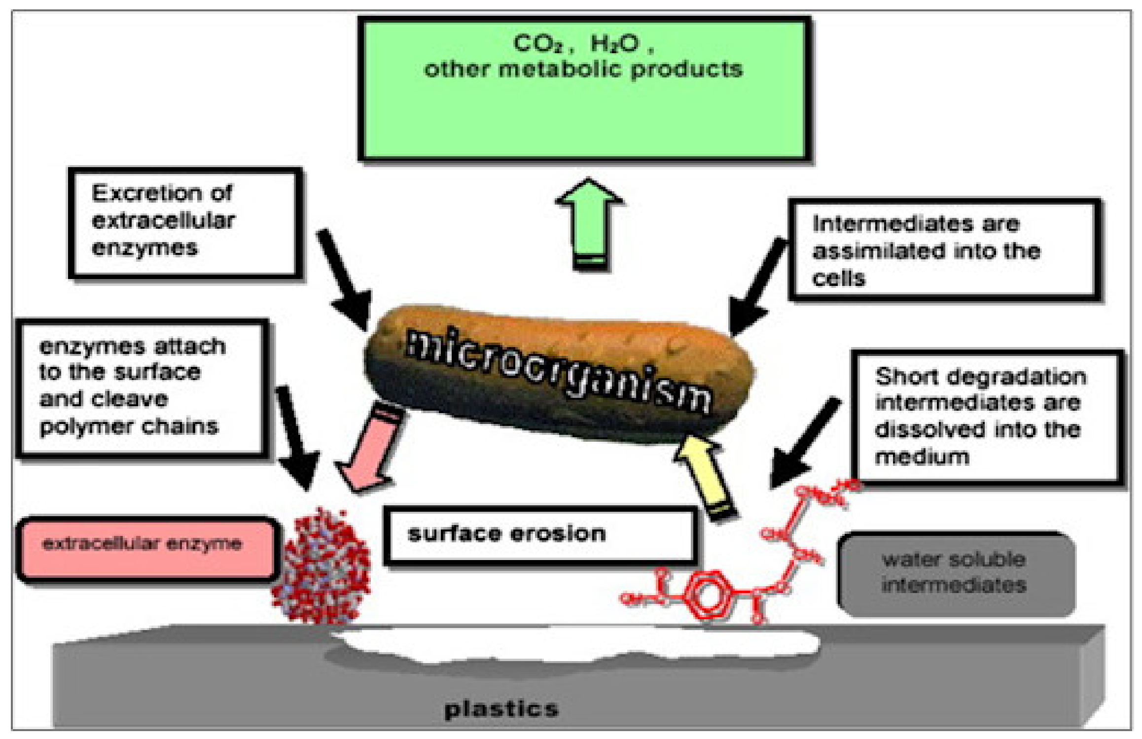 Polymers 13 01436 g016