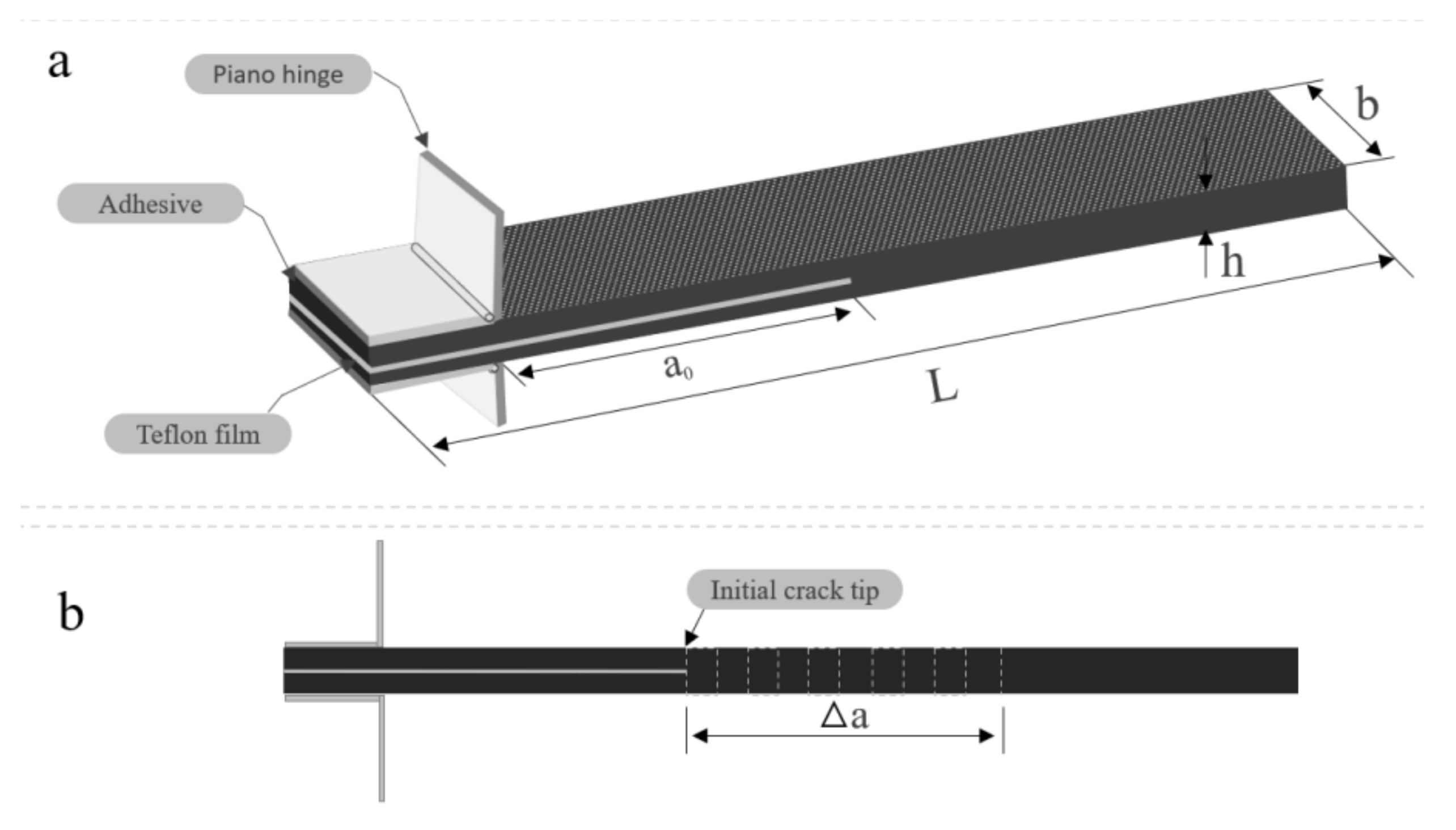 Polymers 13 01437 g003