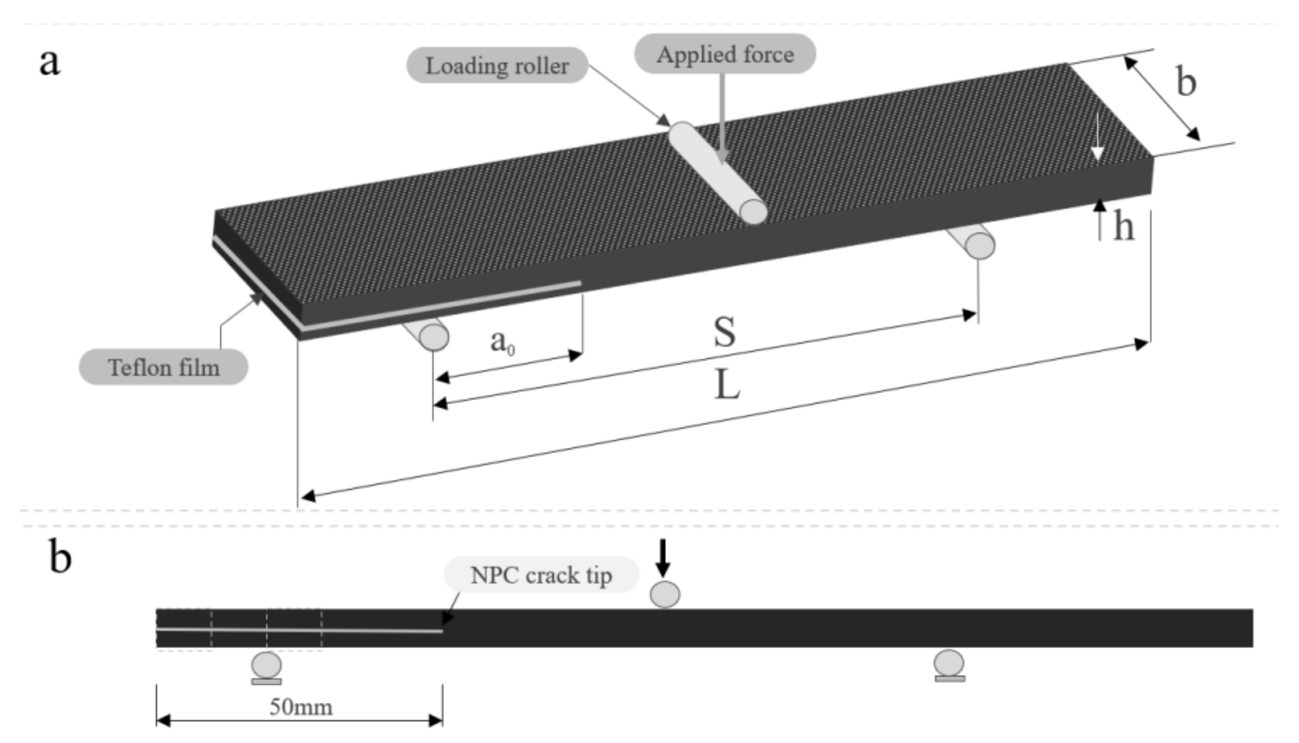 Polymers 13 01437 g005