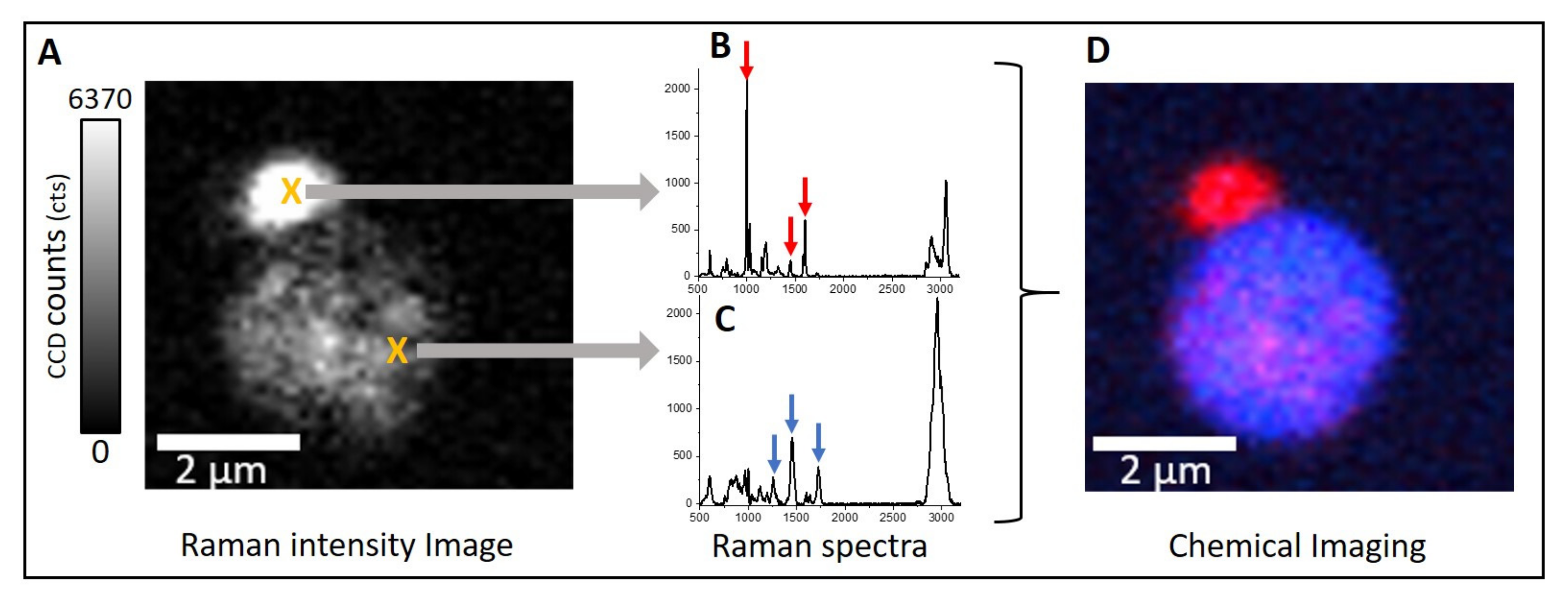 Polymers 13 01438 g003 Polymers 13 01438 g003
