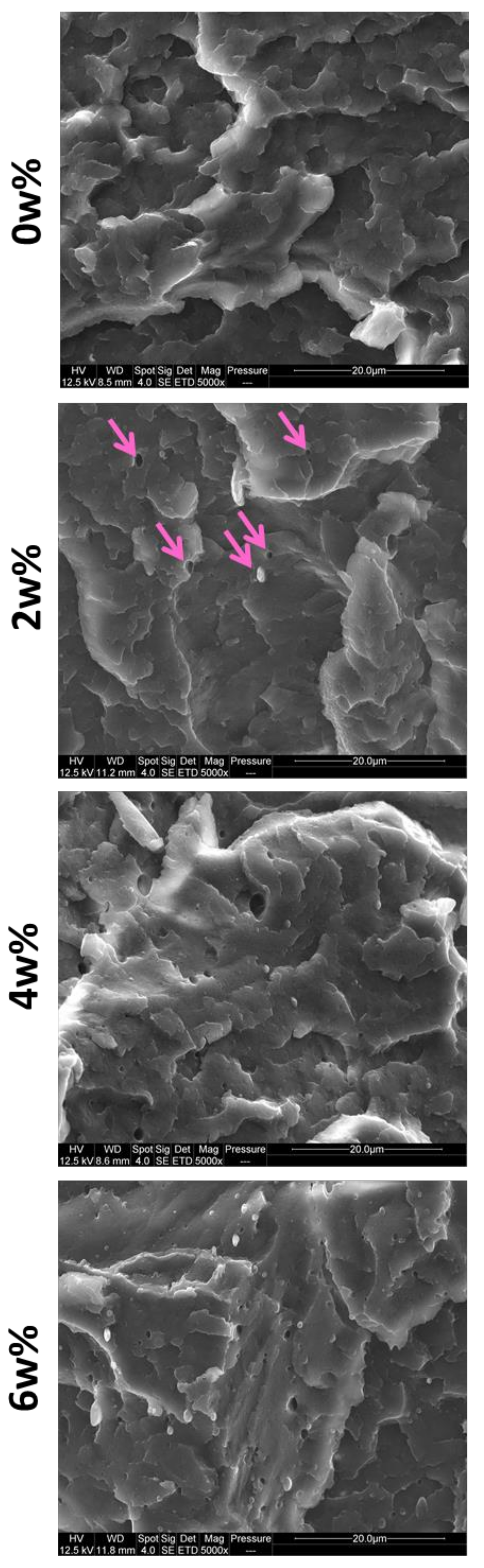 Polymers 13 01439 g006