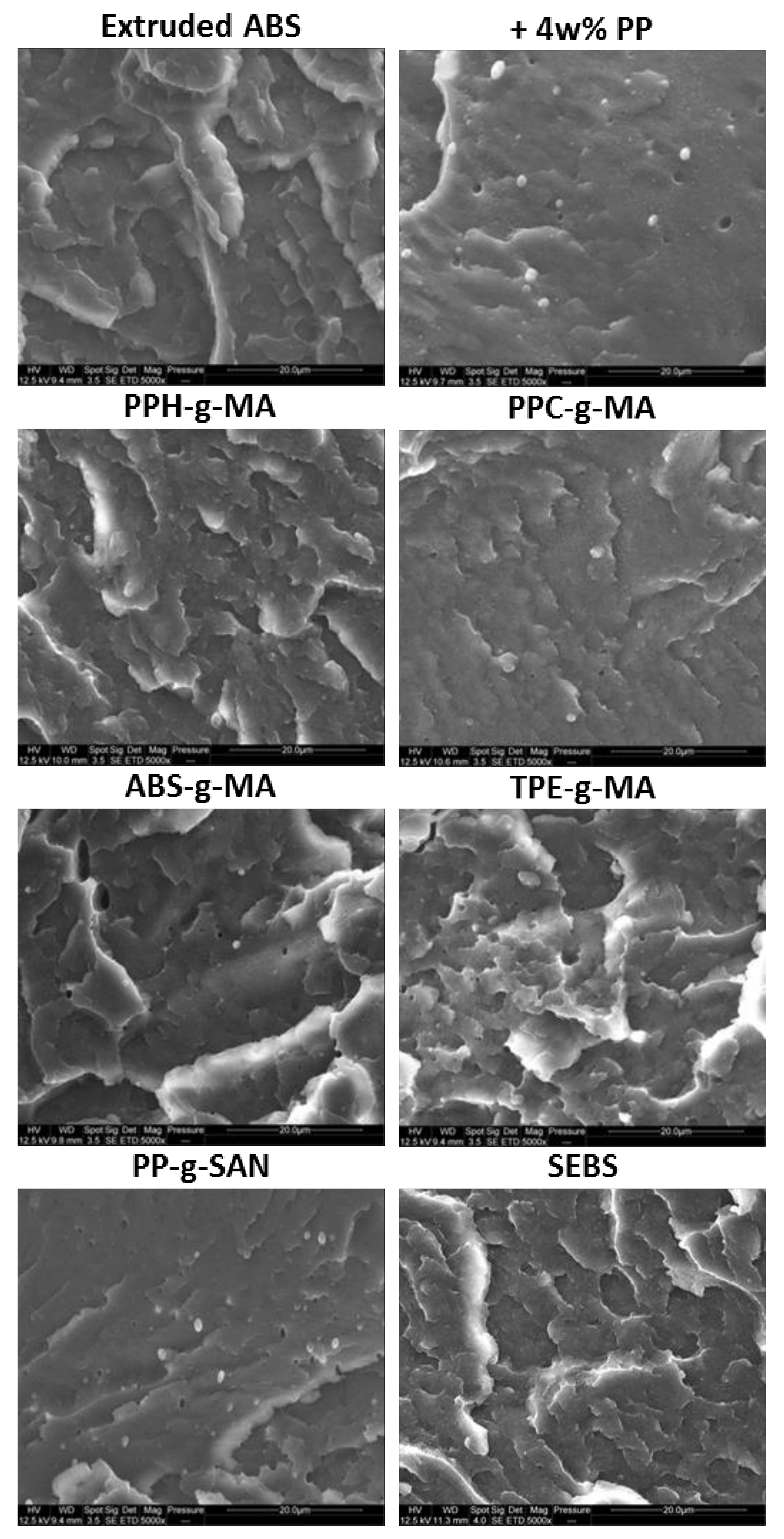 Polymers 13 01439 g012
