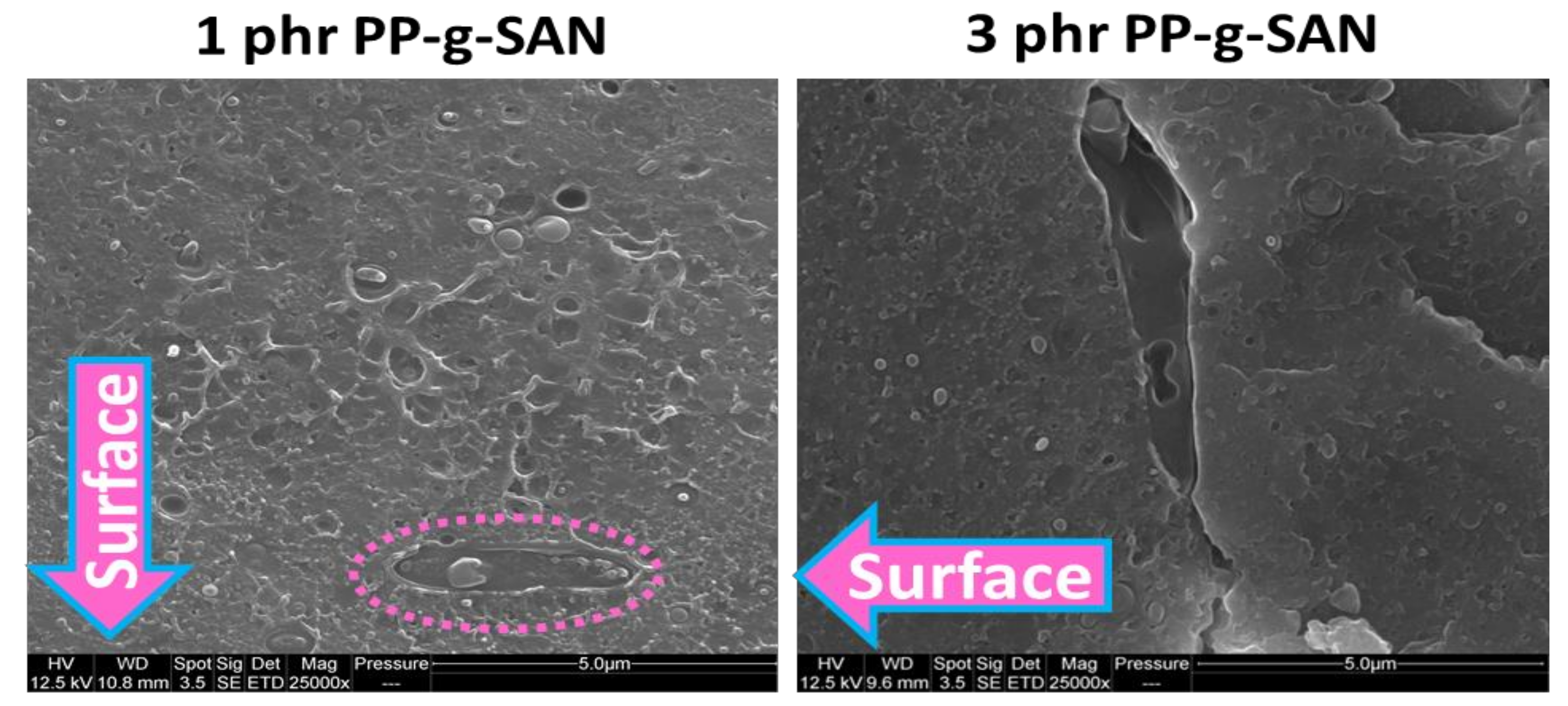 Polymers 13 01439 g013