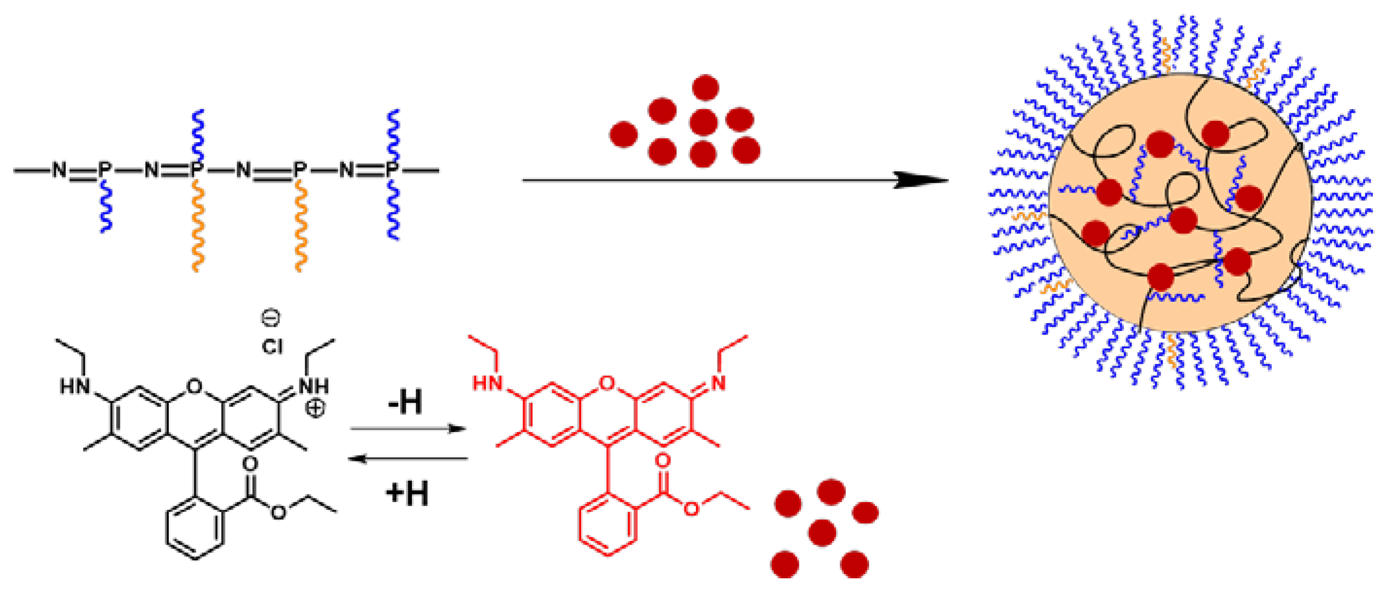 Polymers 13 01446 g005