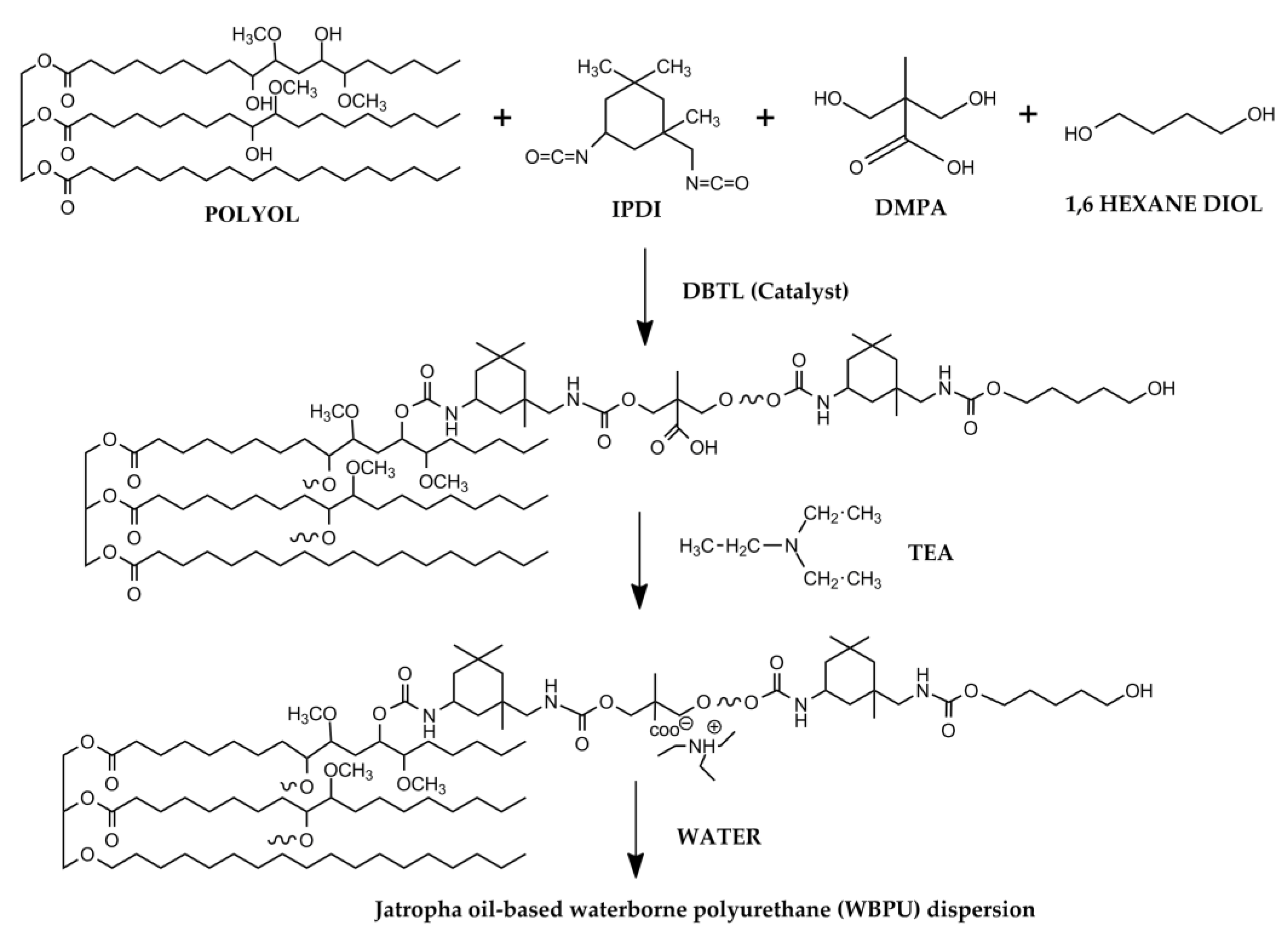 Polymers 13 01460 g001