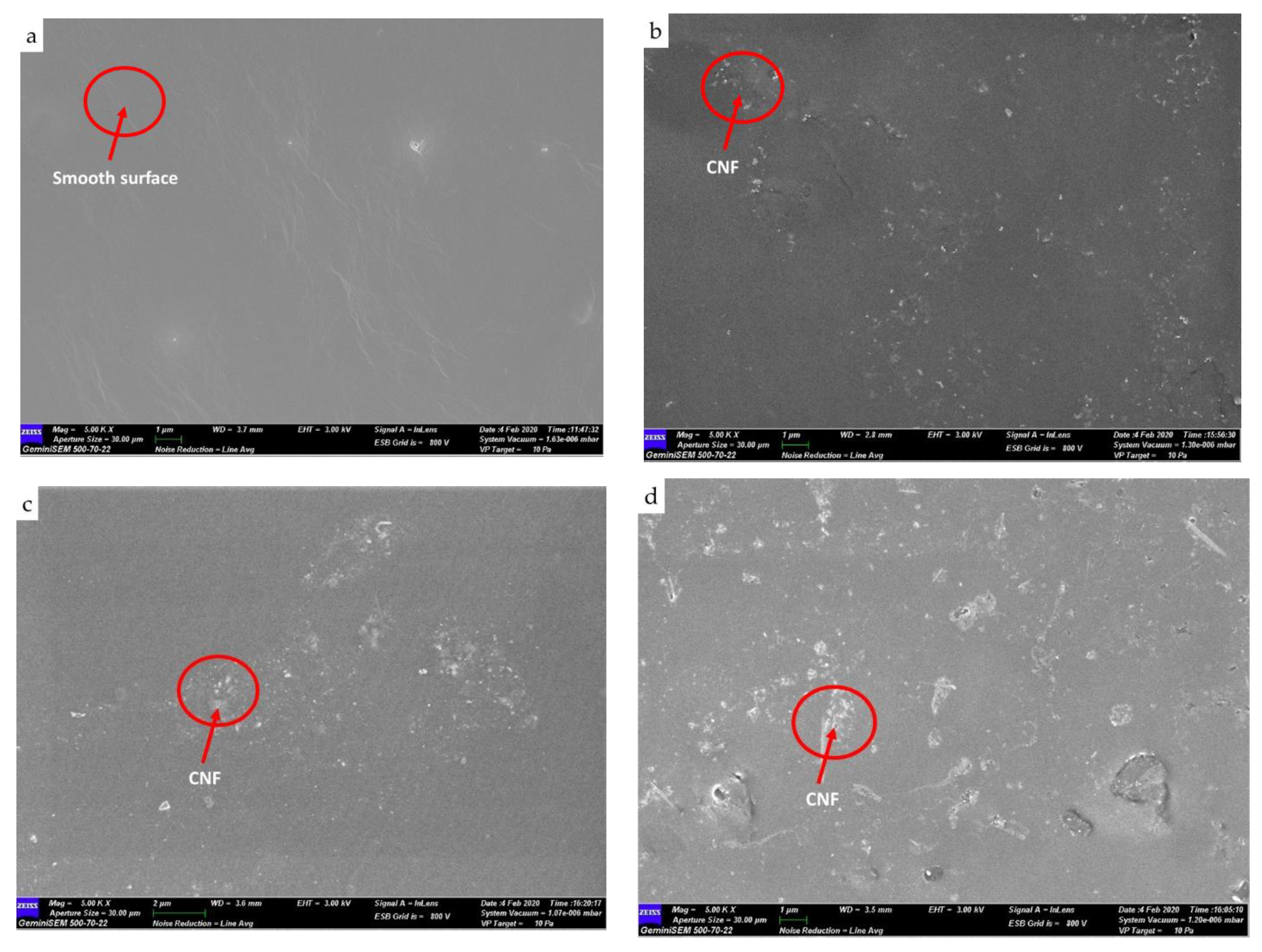 Polymers 13 01460 g003