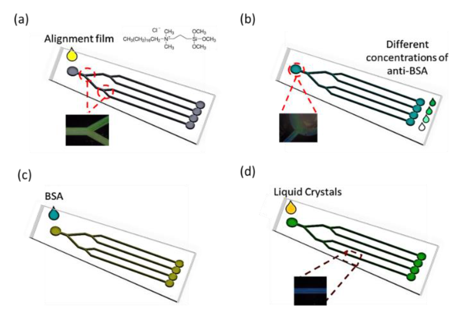 Polymers 13 01463 g001