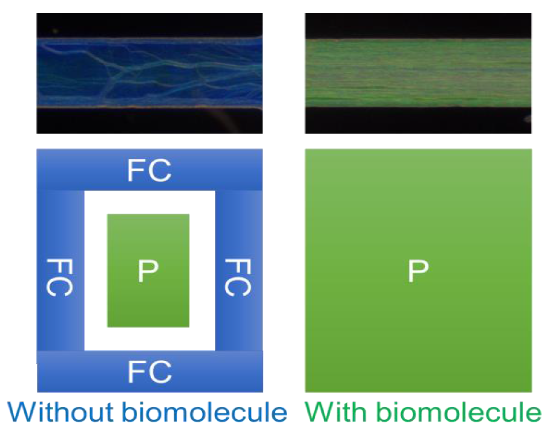 Polymers 13 01463 g002