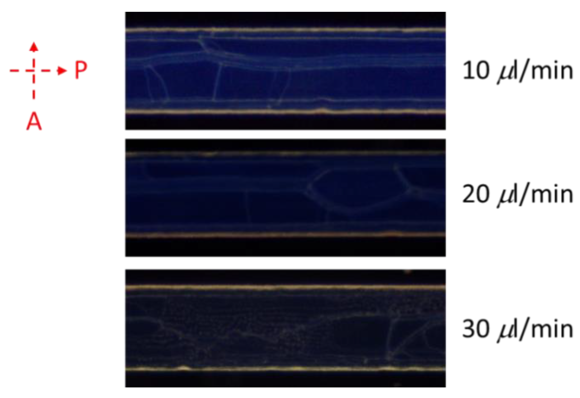 Polymers 13 01463 g007