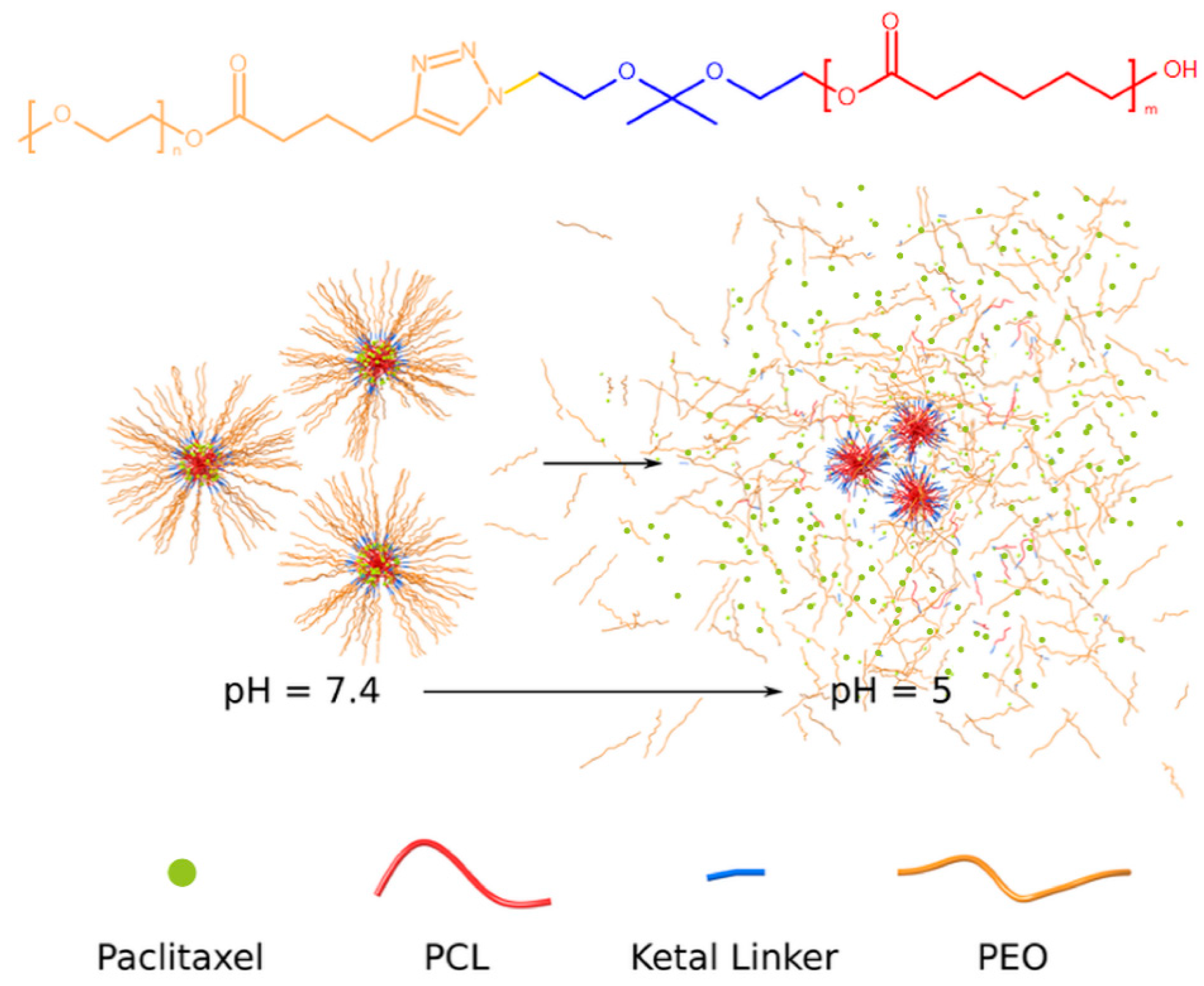 Polymers 13 01465 g001
