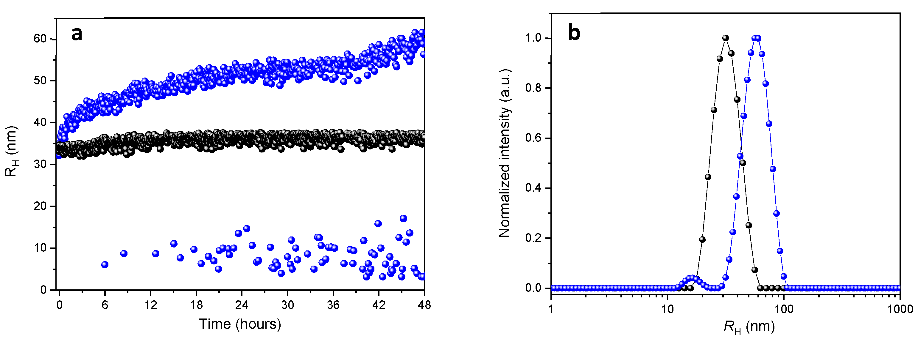 Polymers 13 01465 g003