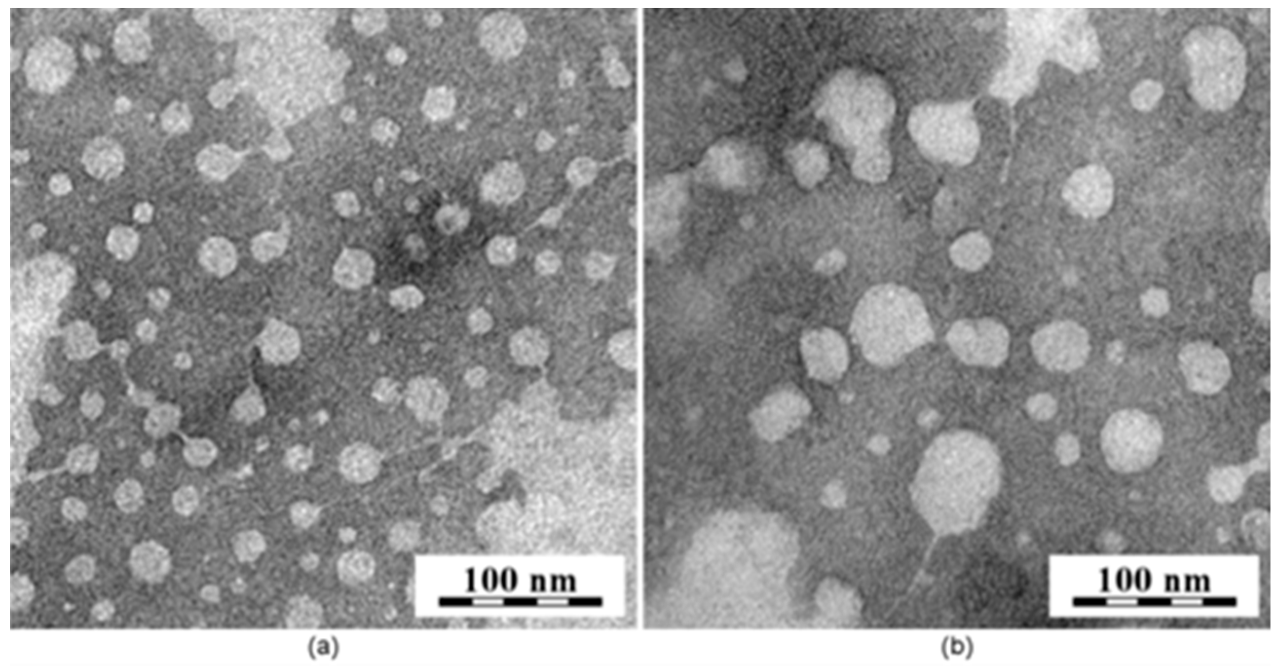 Polymers 13 01465 g005