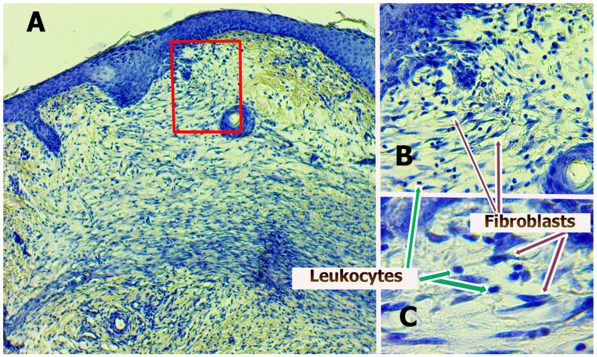 Polymers 13 01467 g001