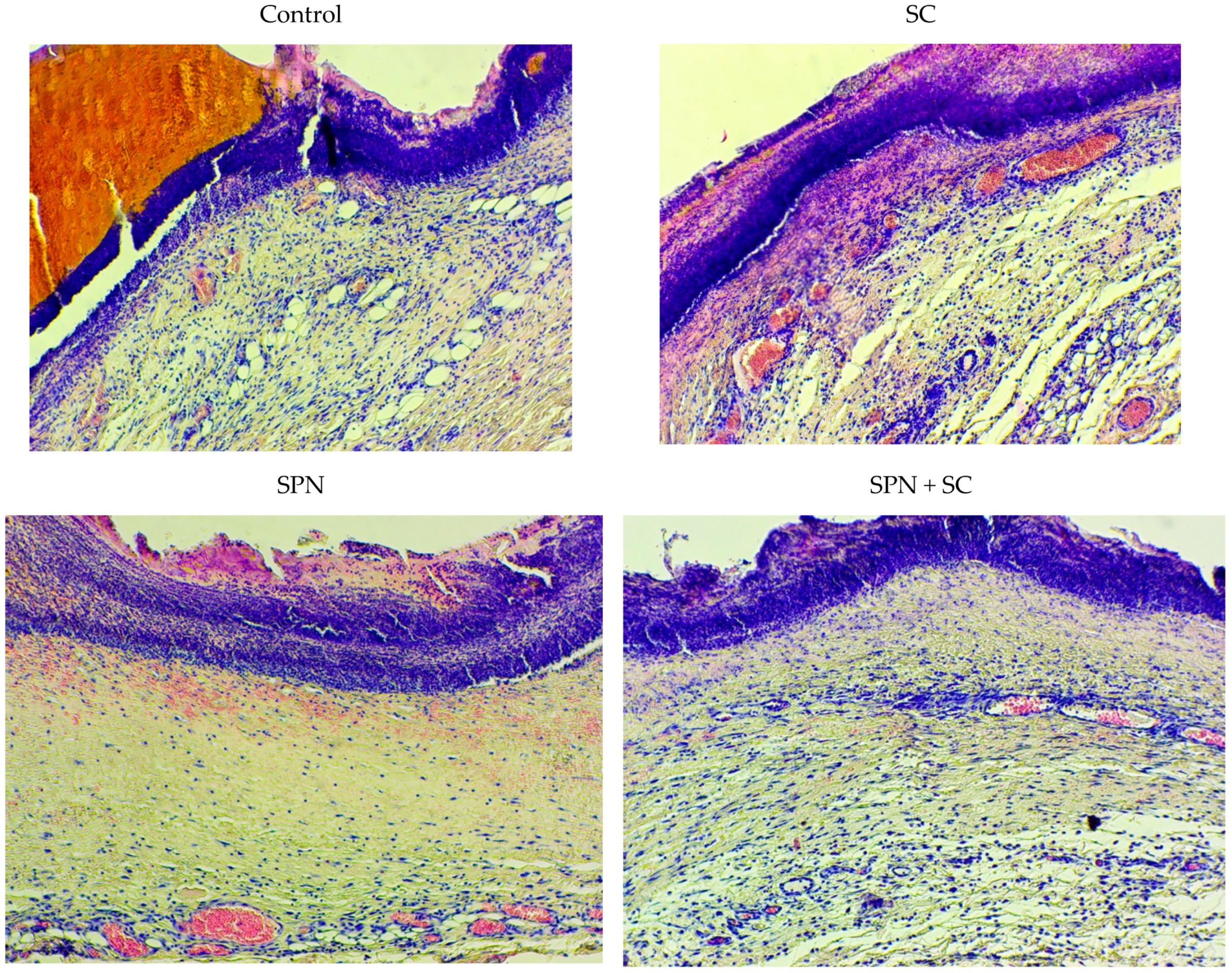 Polymers 13 01467 g010