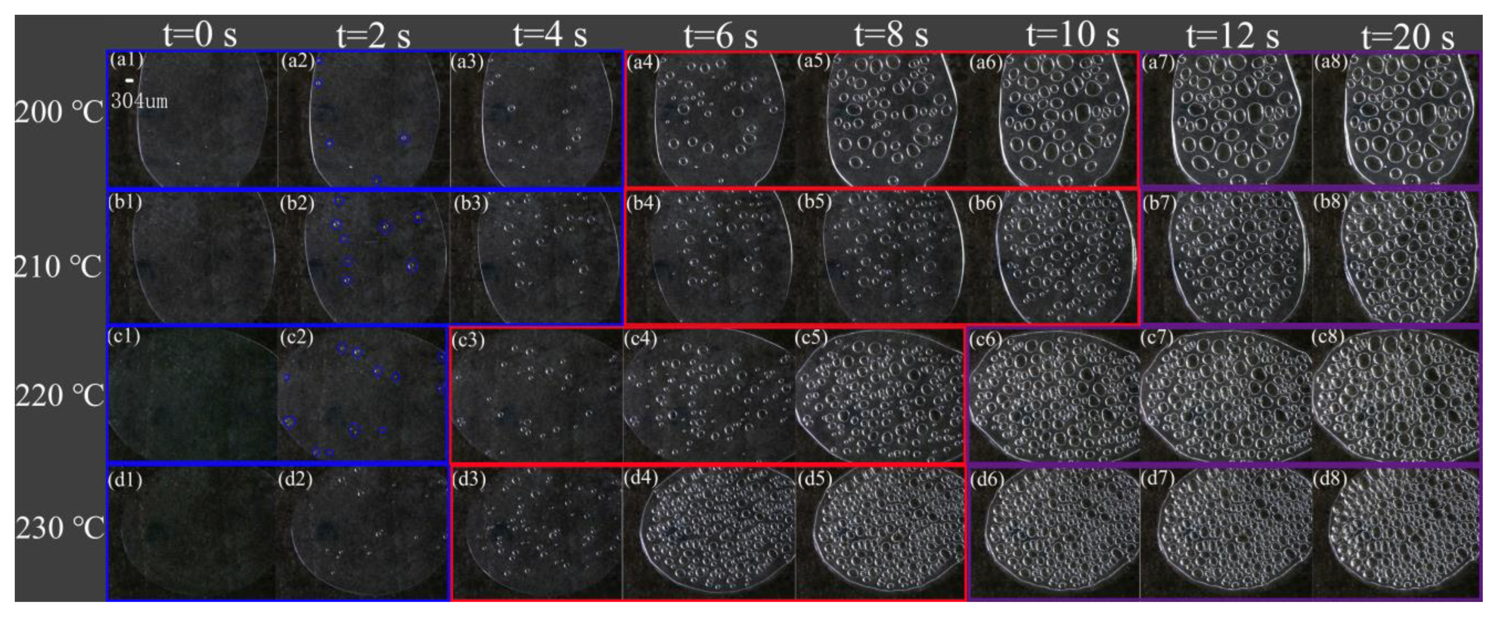 Polymers 13 01468 g003