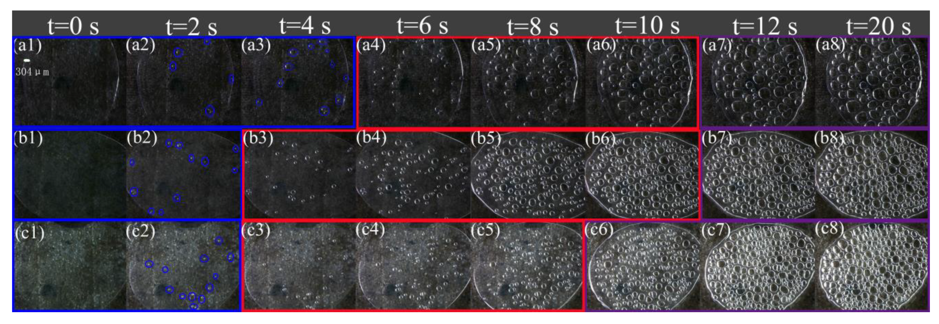 Polymers 13 01468 g006