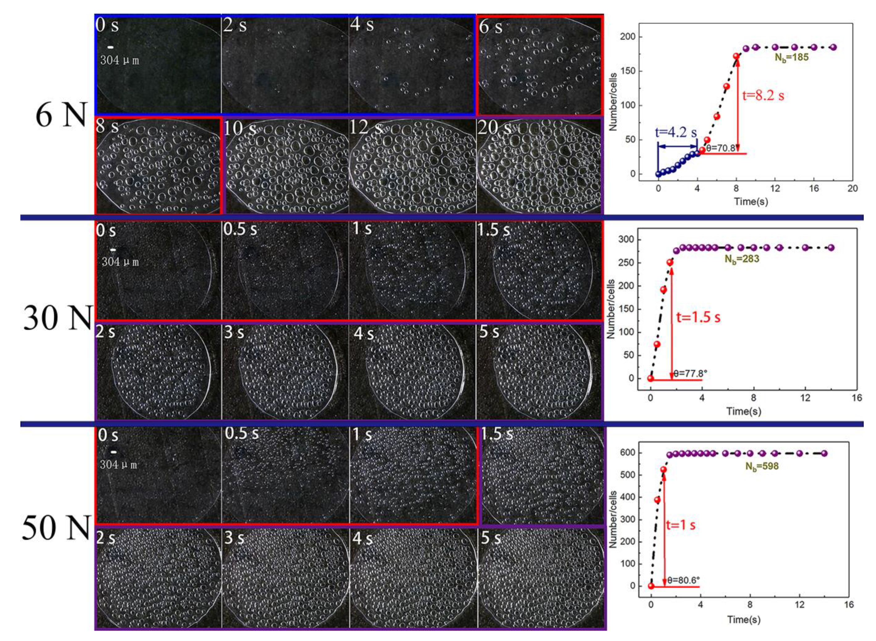Polymers 13 01468 g009