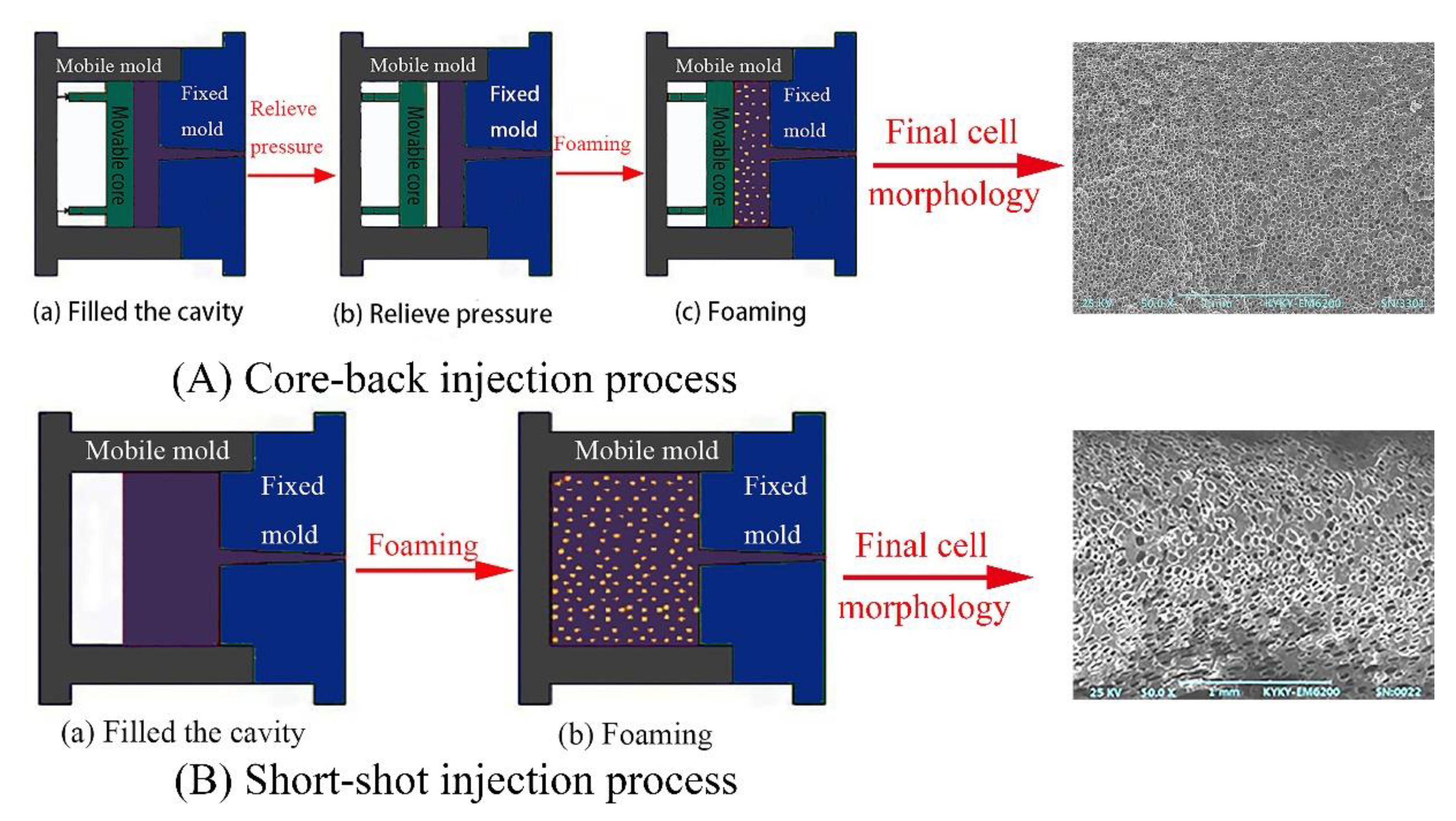 Polymers 13 01468 g011