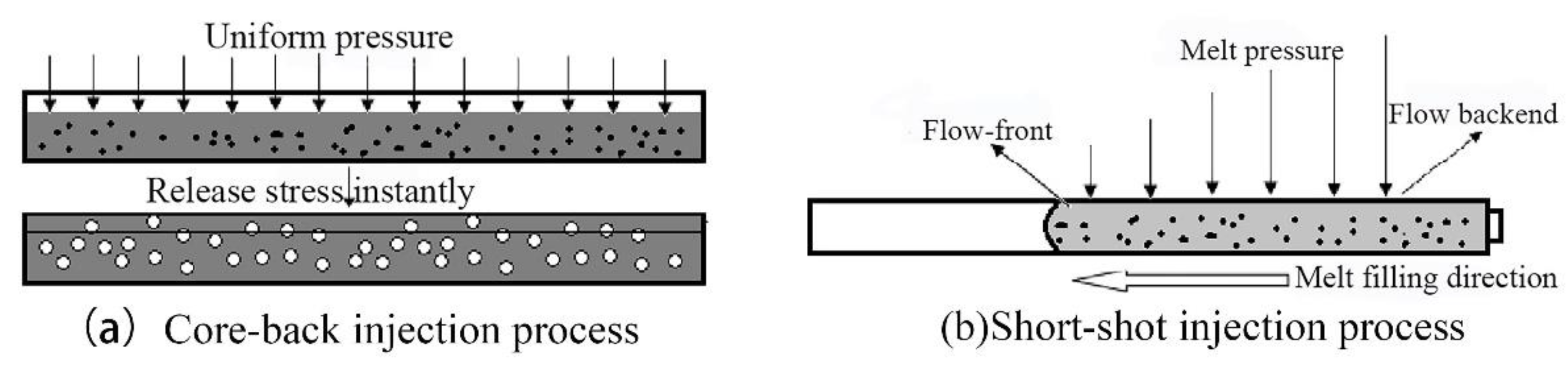 Polymers 13 01468 g012