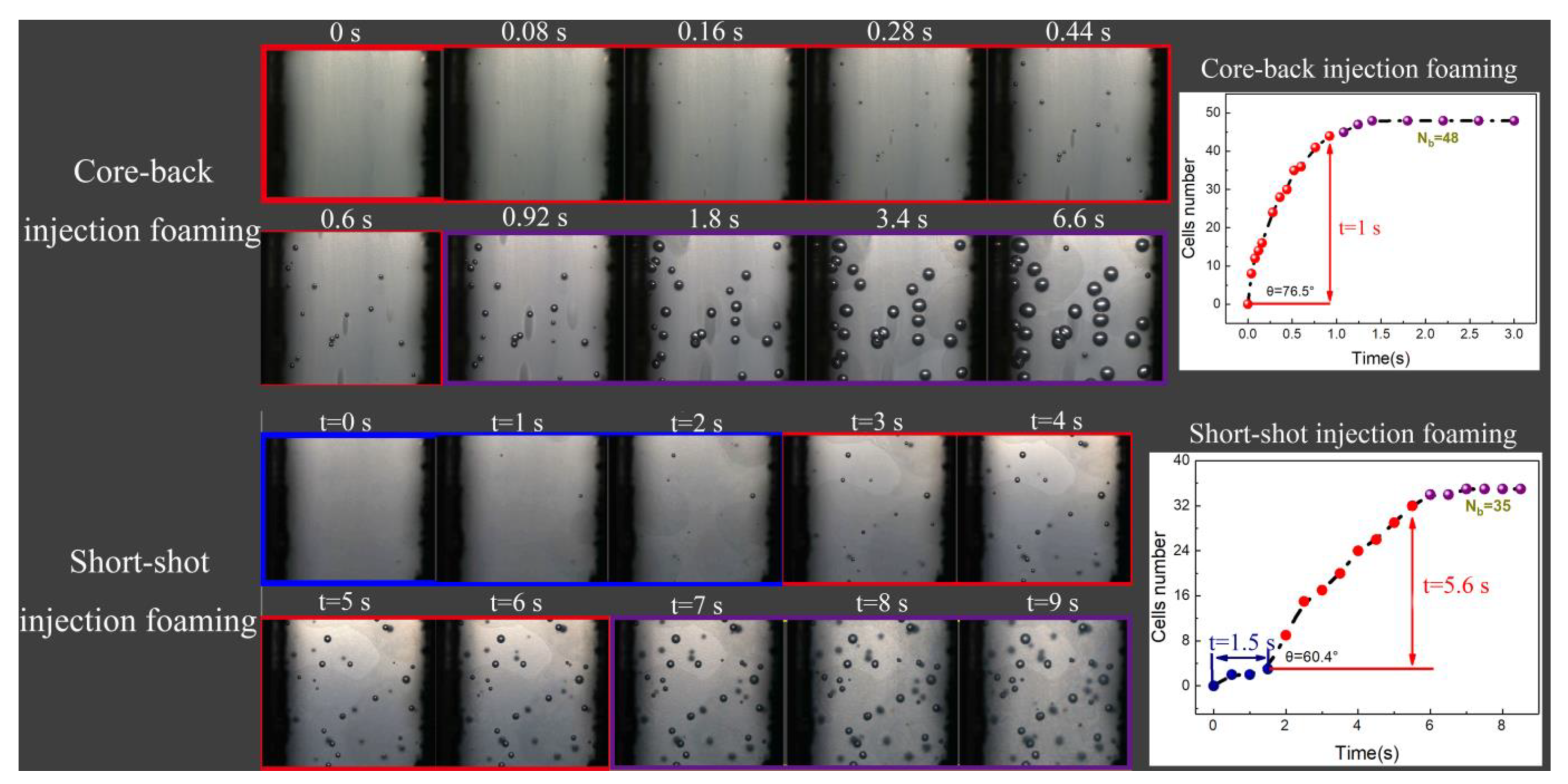 Polymers 13 01468 g013