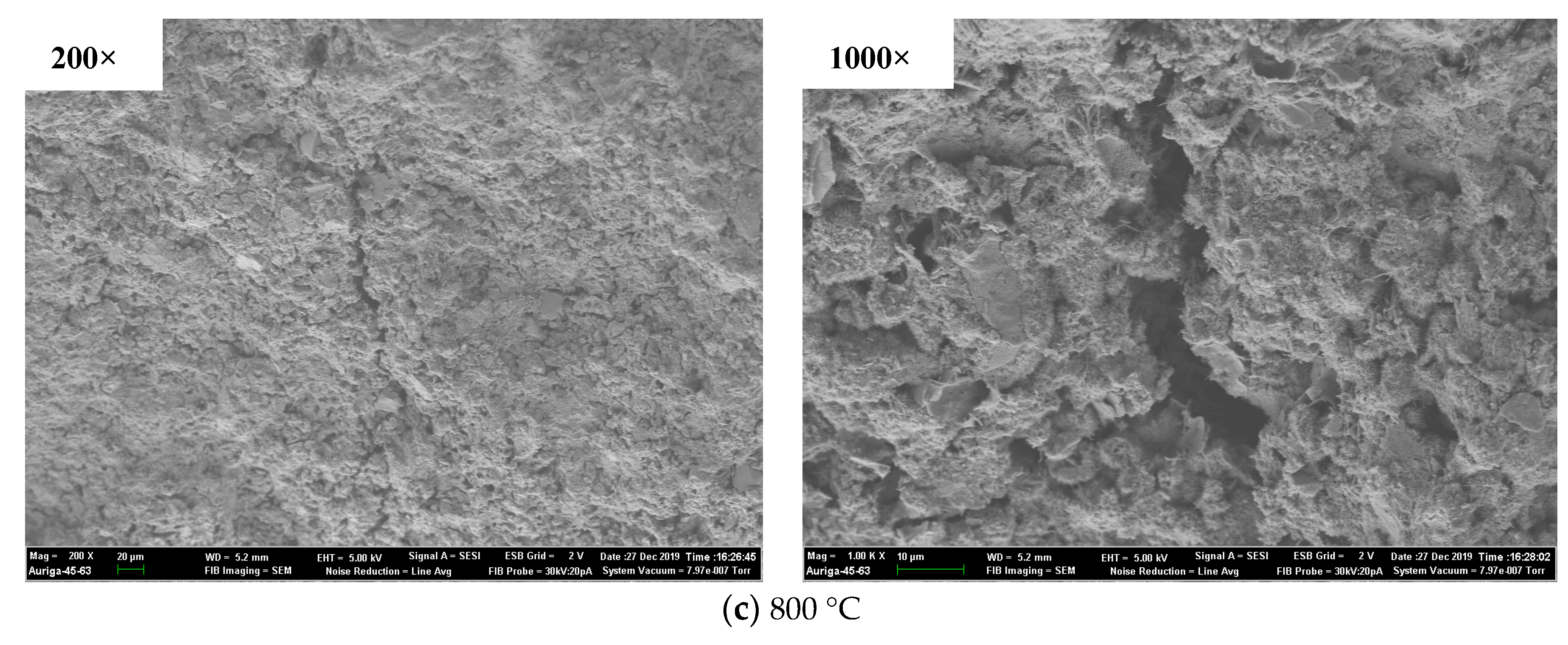 Polymers 13 01473 g017b Polymers 13 01473 g017b