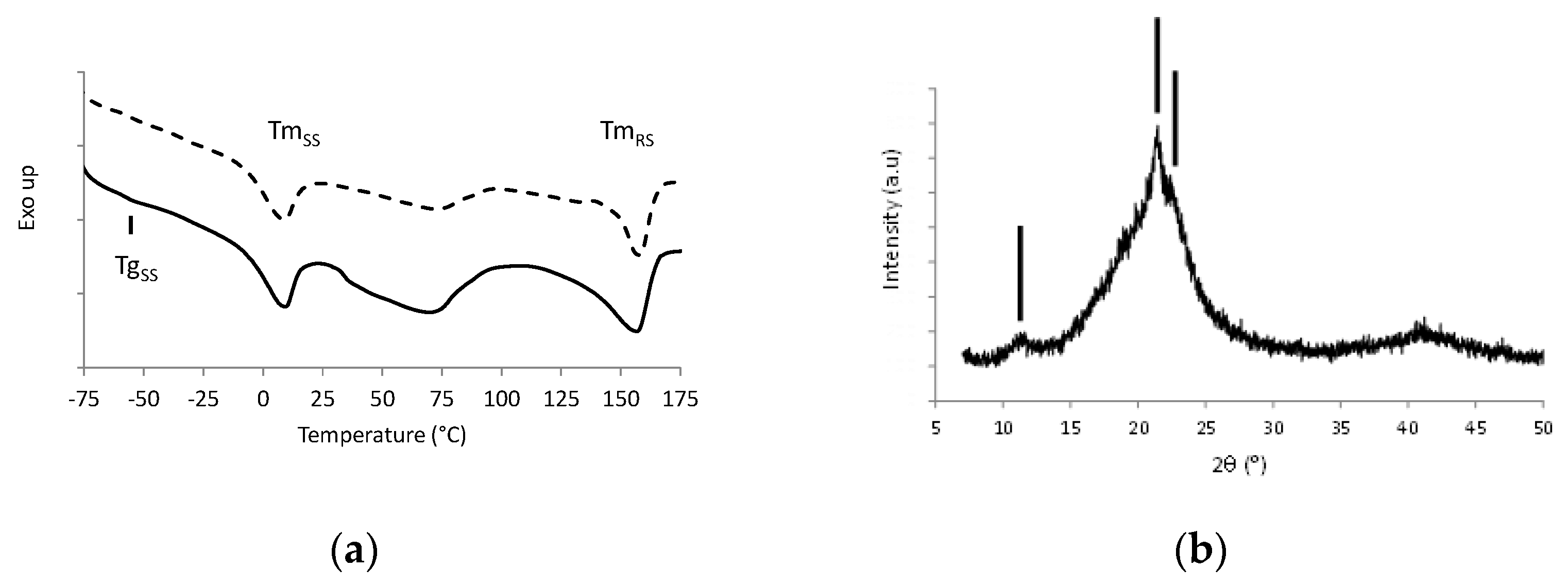 Polymers 13 01477 g001