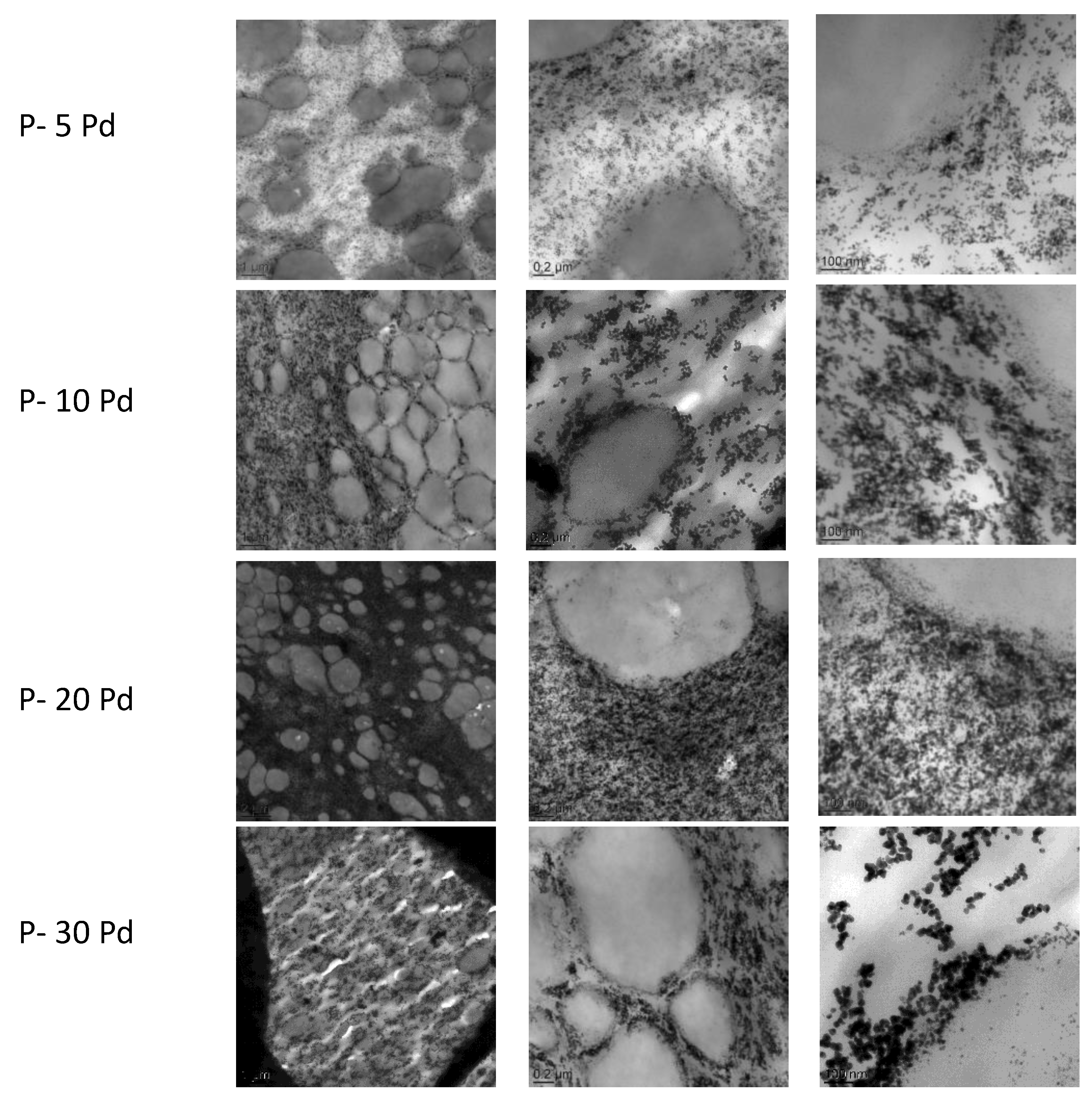 Polymers 13 01477 g003