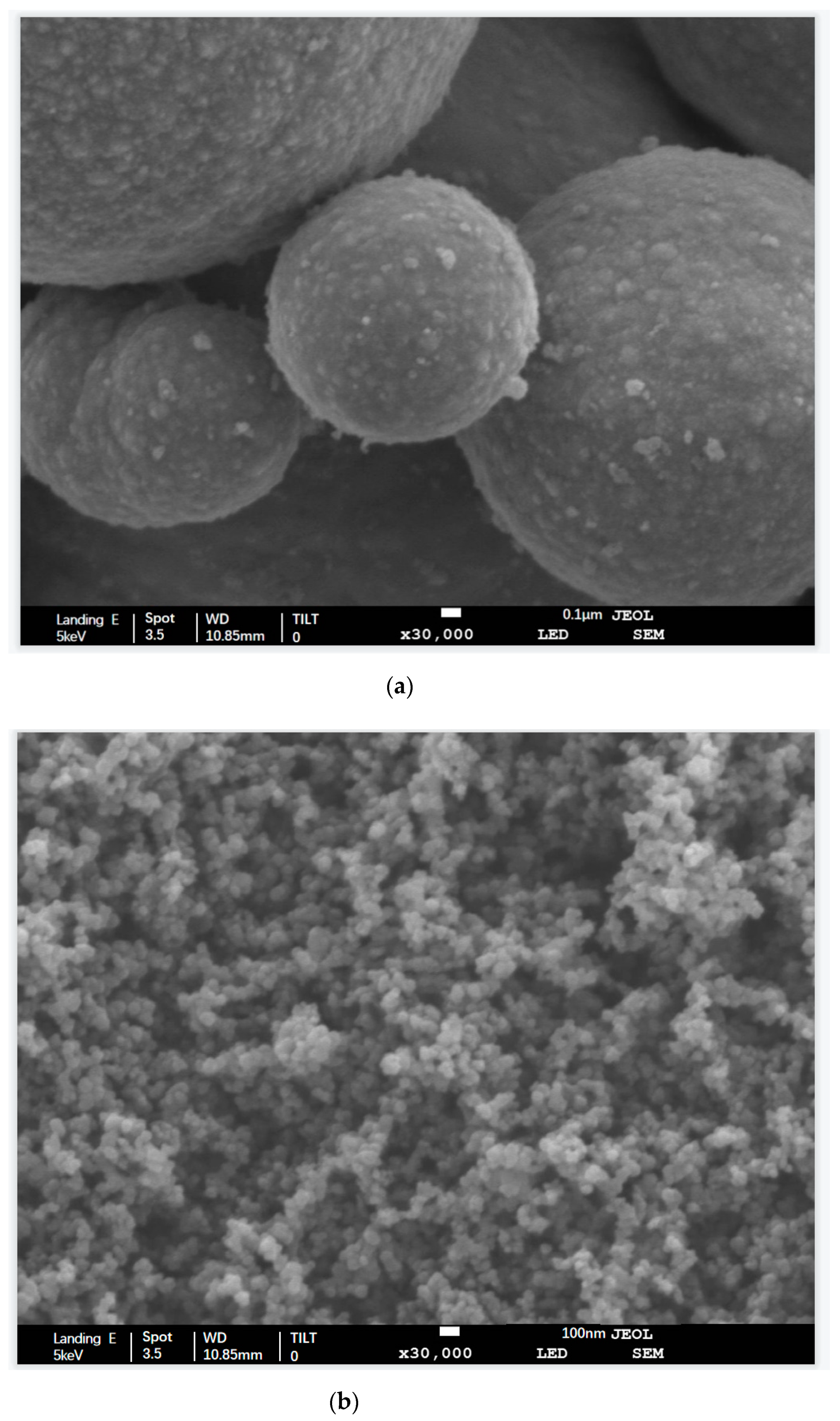 Polymers 13 01485 g005