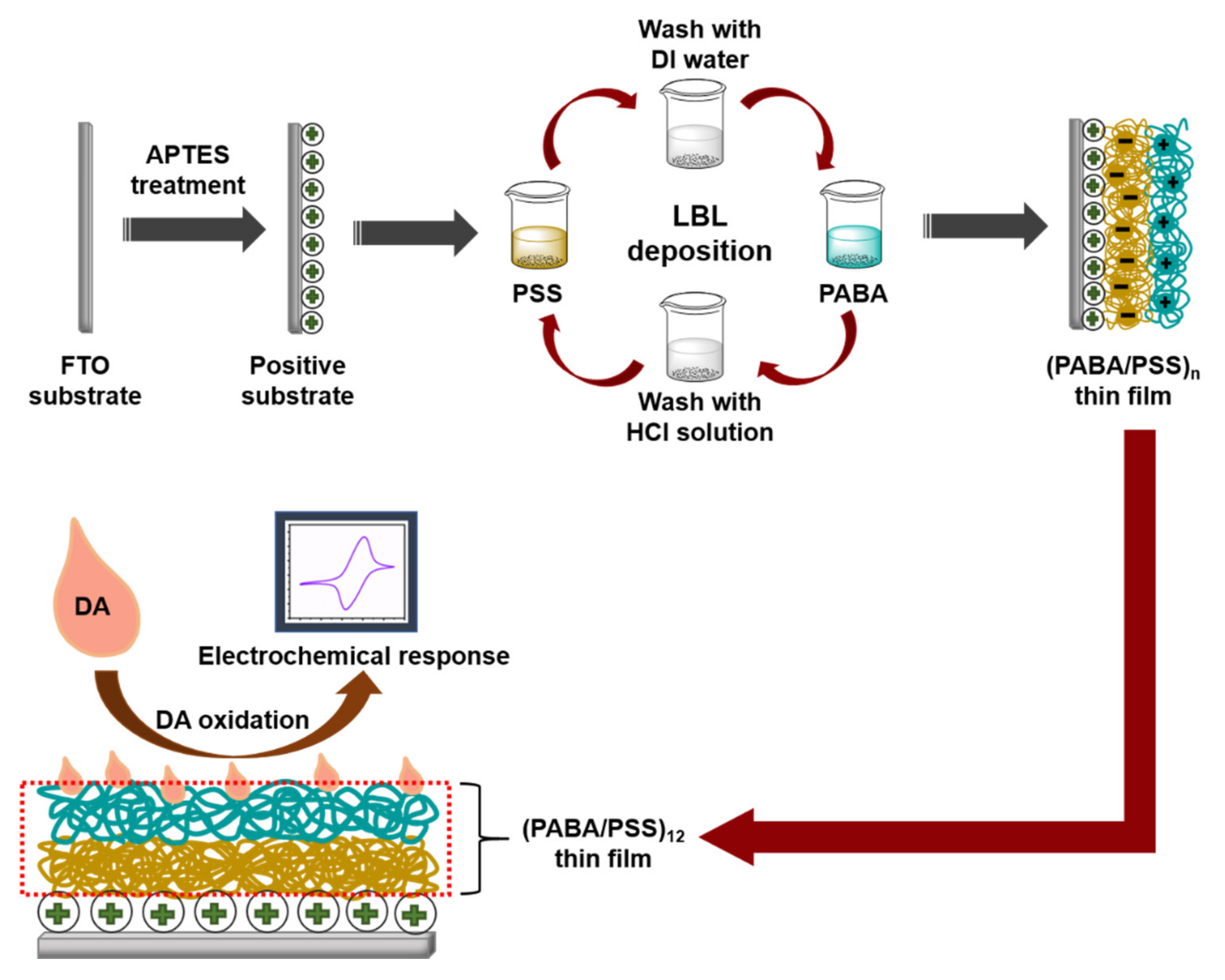 Polymers 13 01488 g001