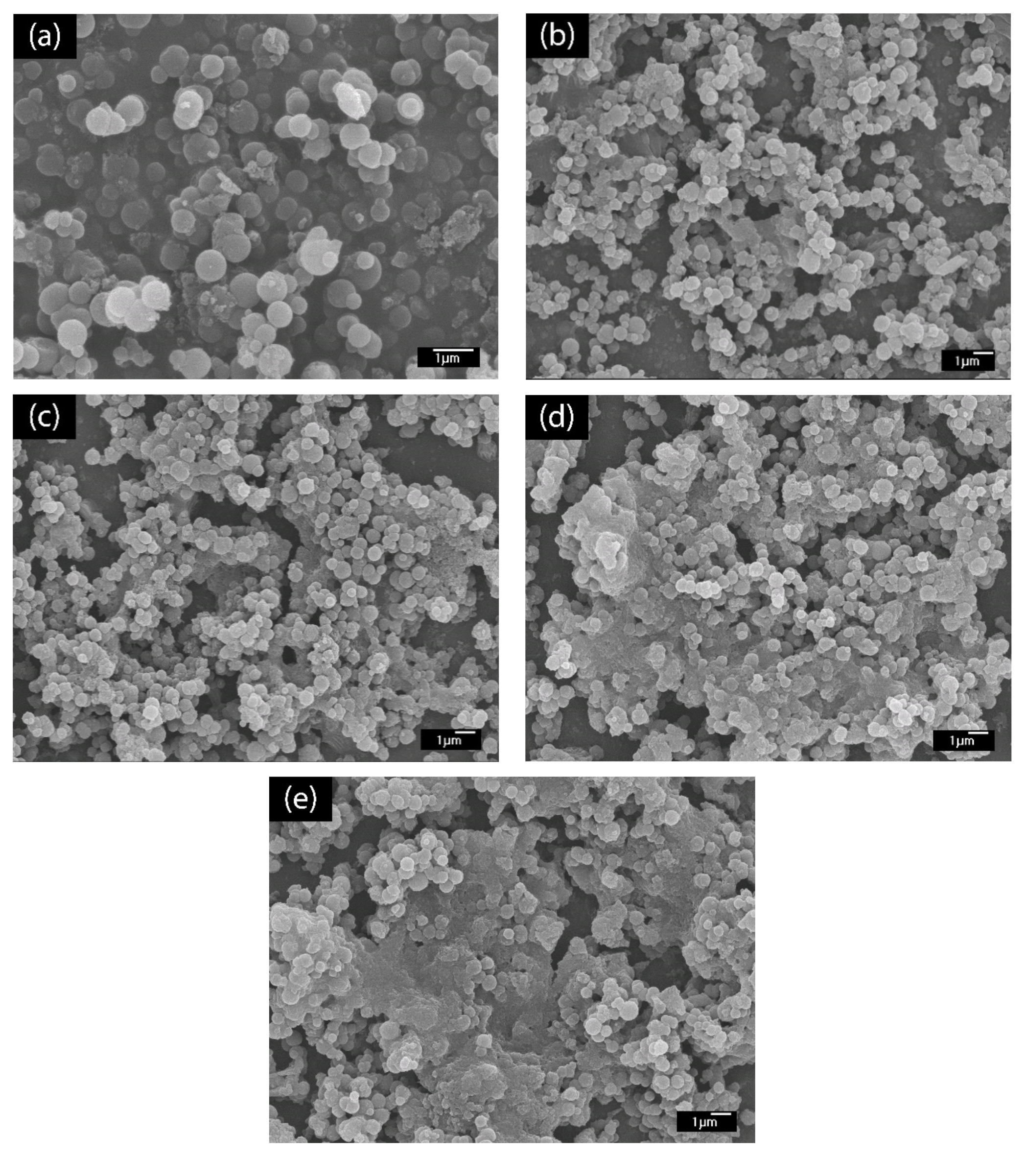 Polymers 13 01488 g003