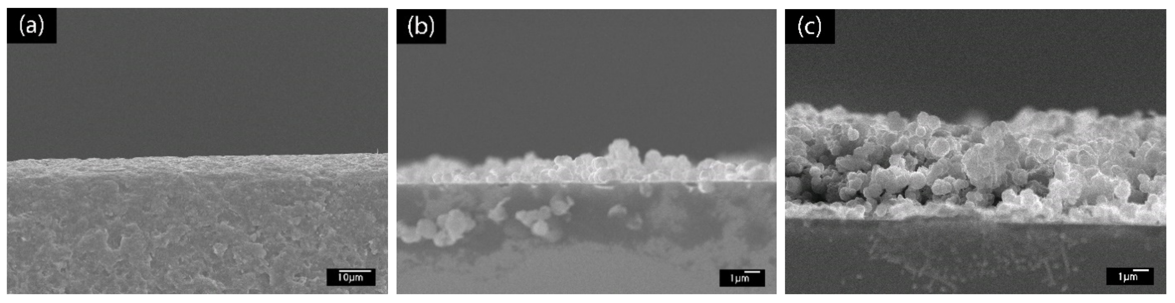 Polymers 13 01488 g004