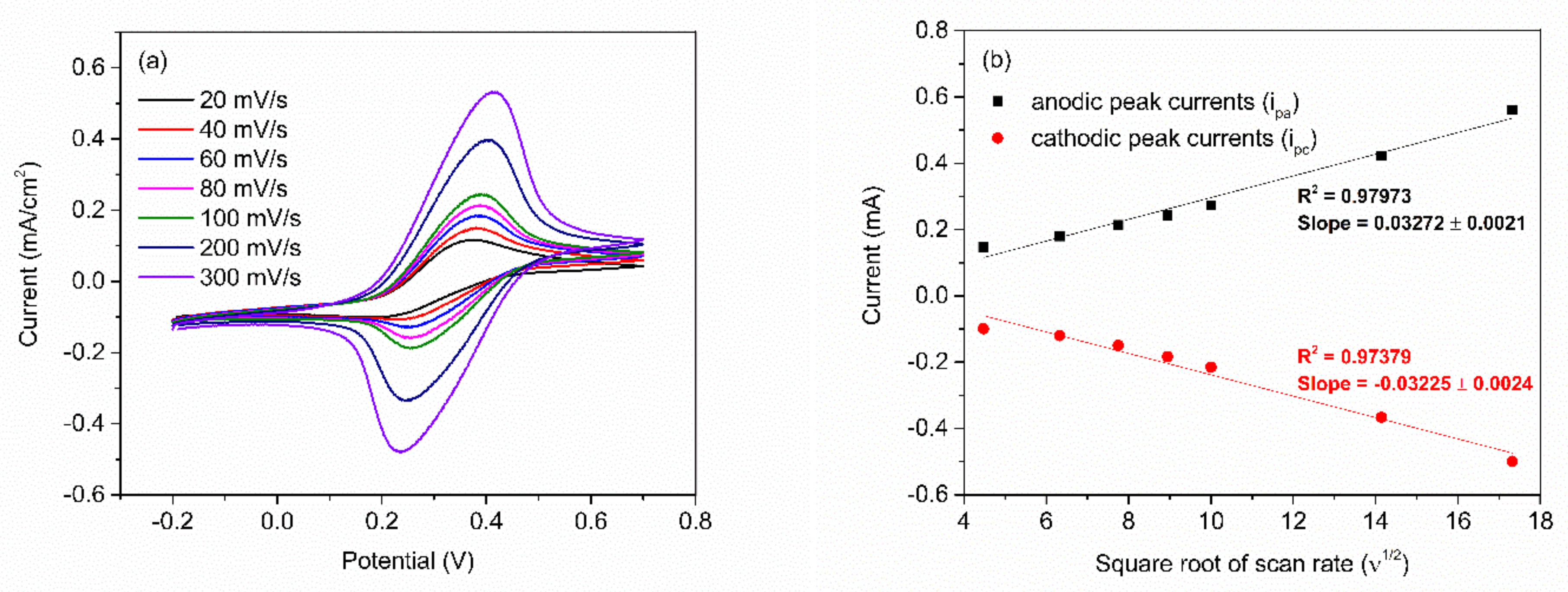 Polymers 13 01488 g006