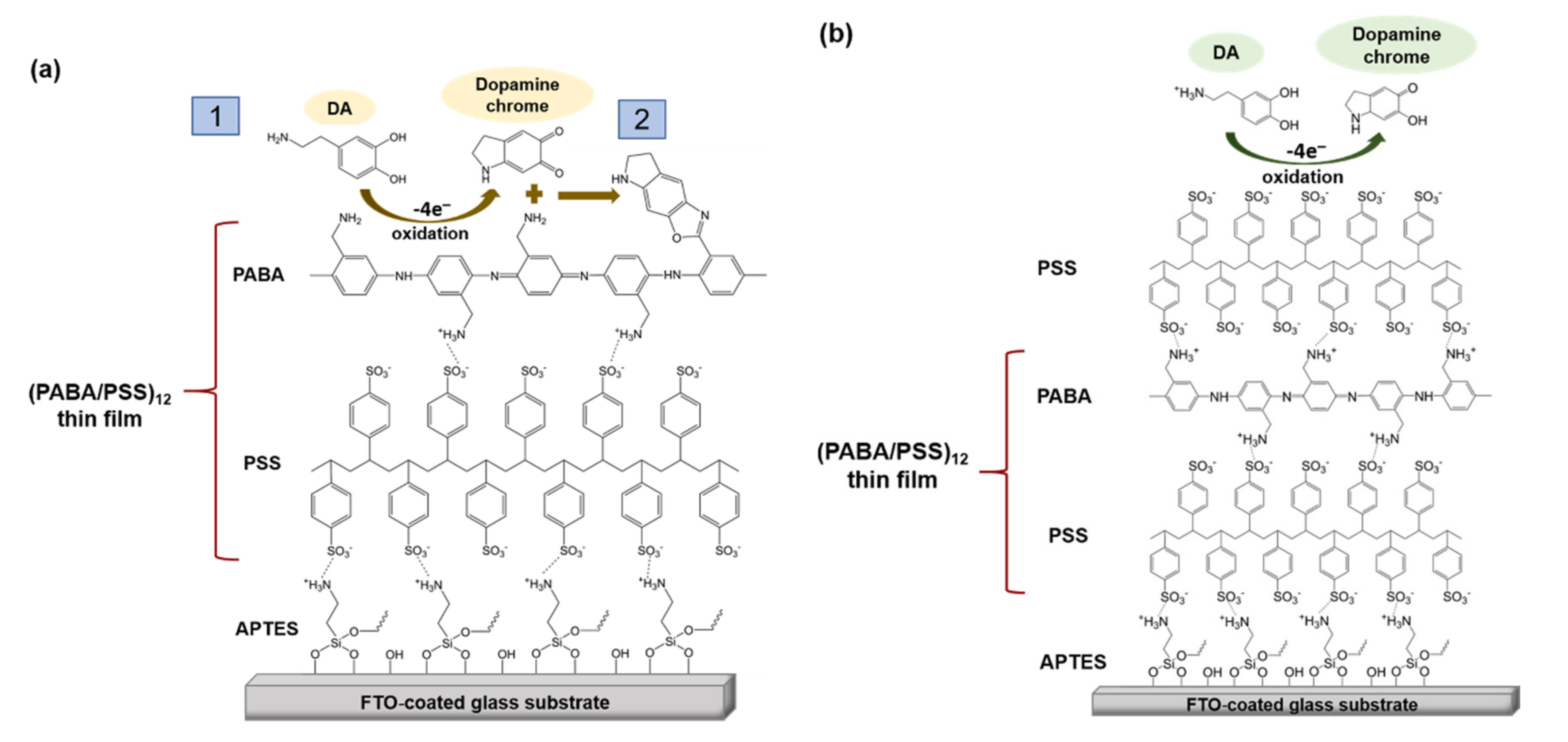 Polymers 13 01488 g008