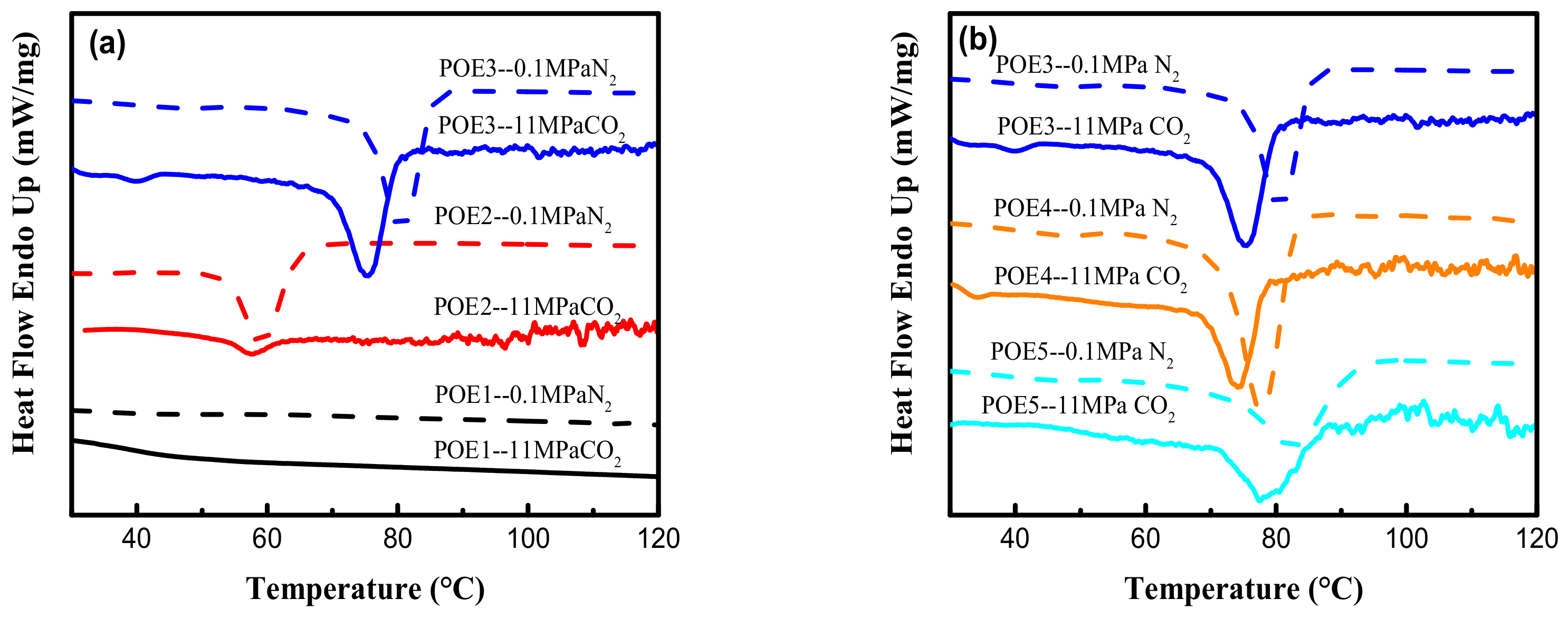 Polymers 13 01494 g003