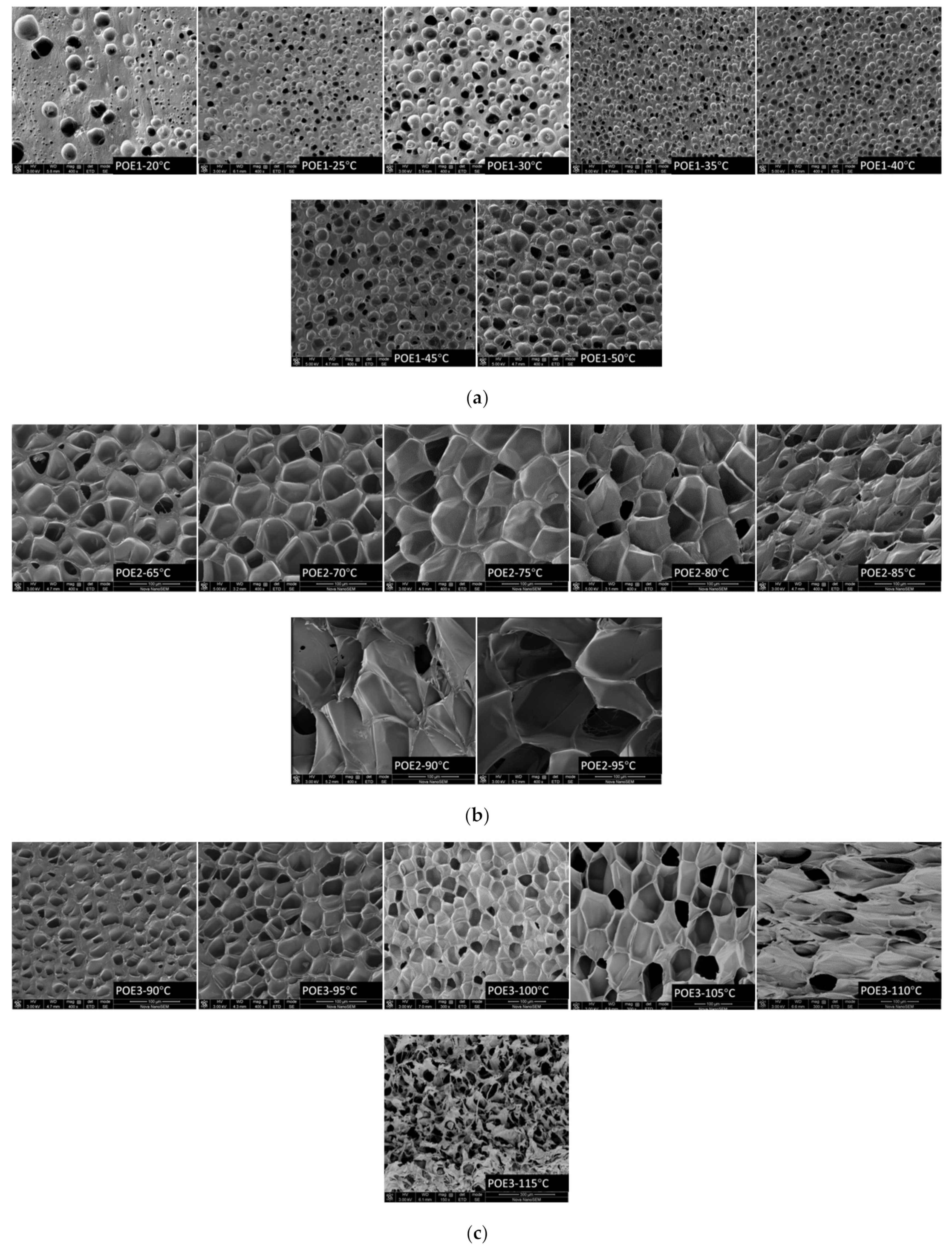Polymers 13 01494 g009a