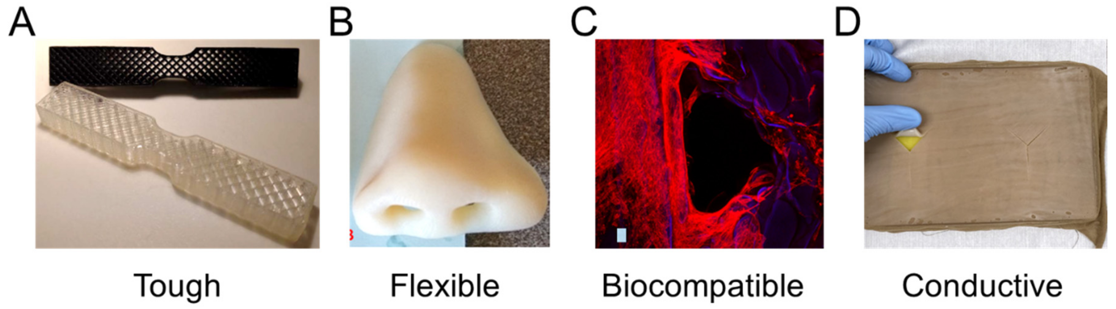 Polymers 13 01499 g002