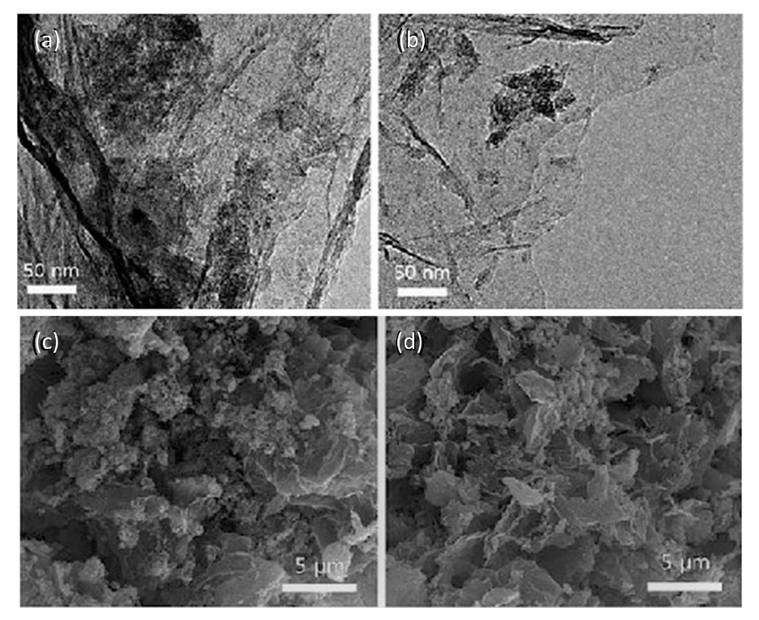 Polymers 13 01503 g001