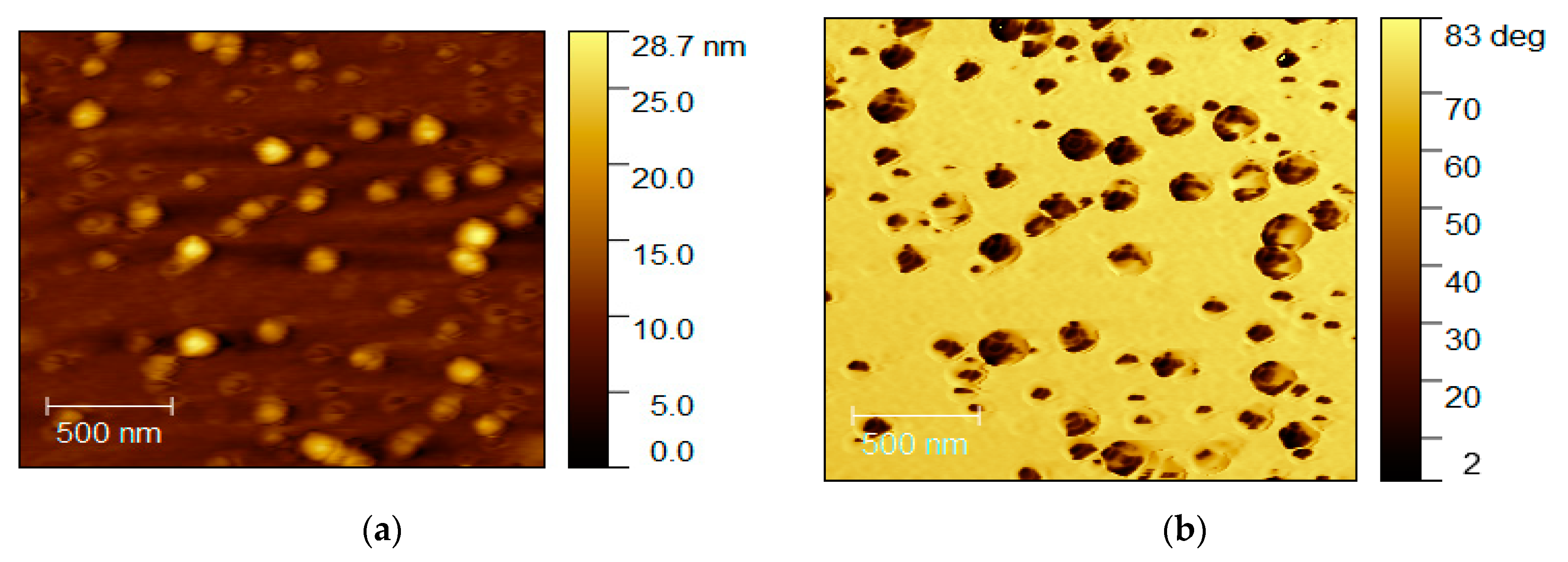 Polymers 13 01503 g011