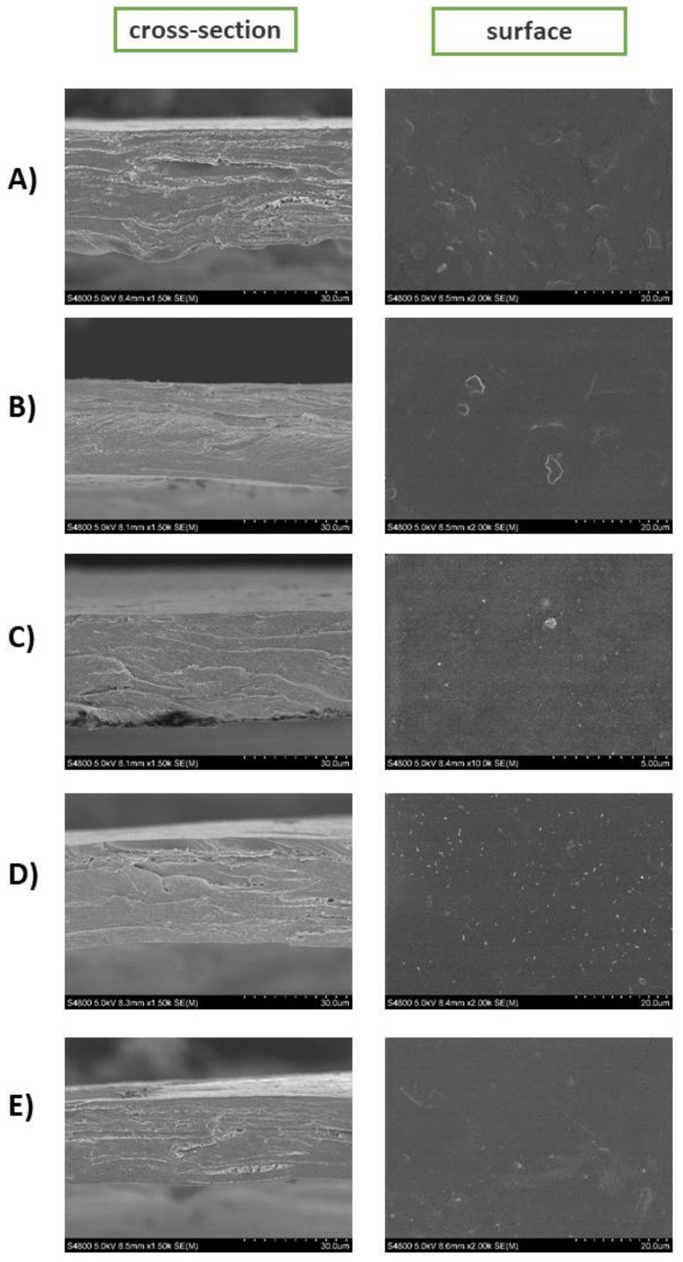 Polymers 13 01507 g005