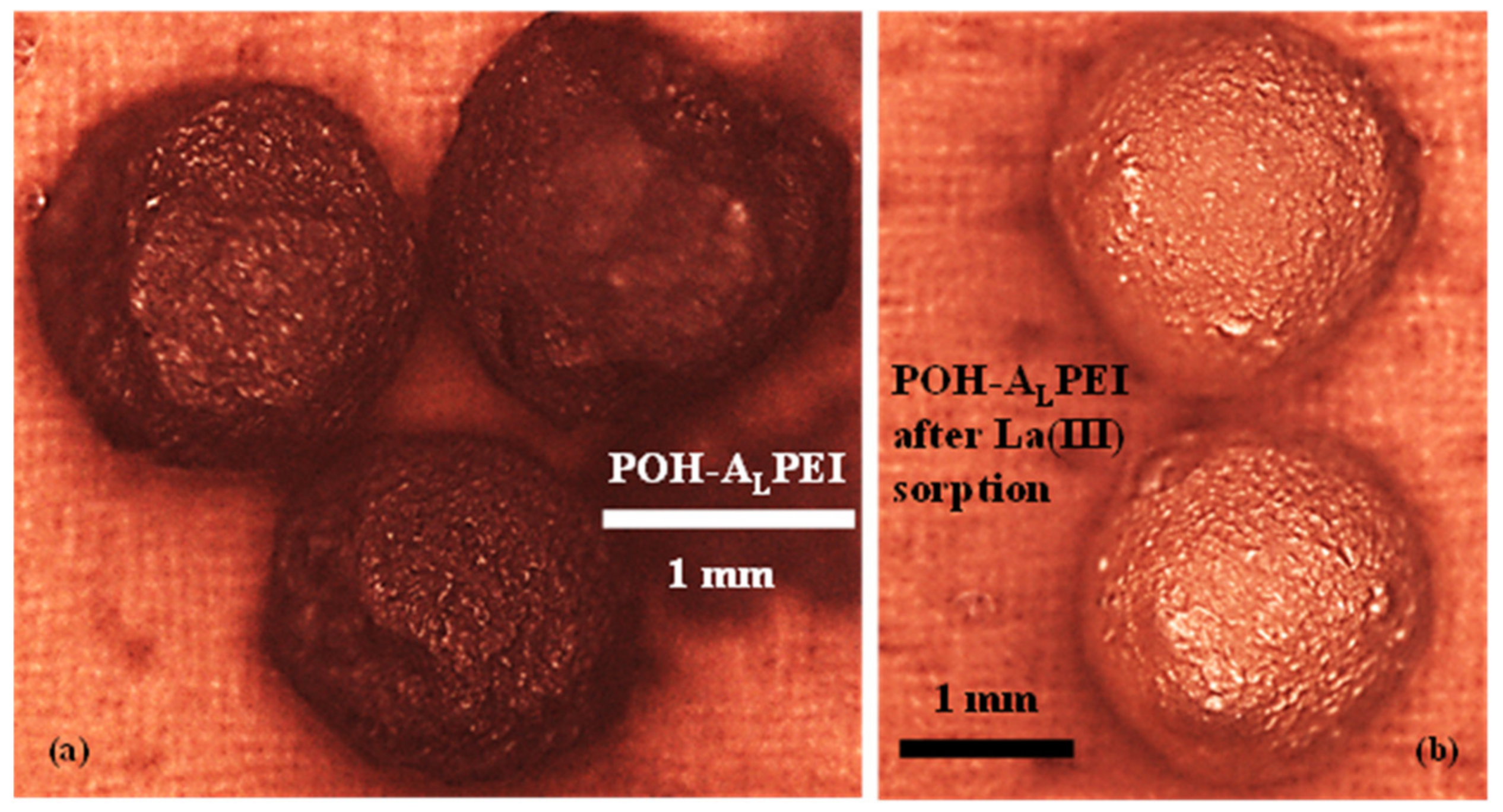 Polymers 13 01513 g001