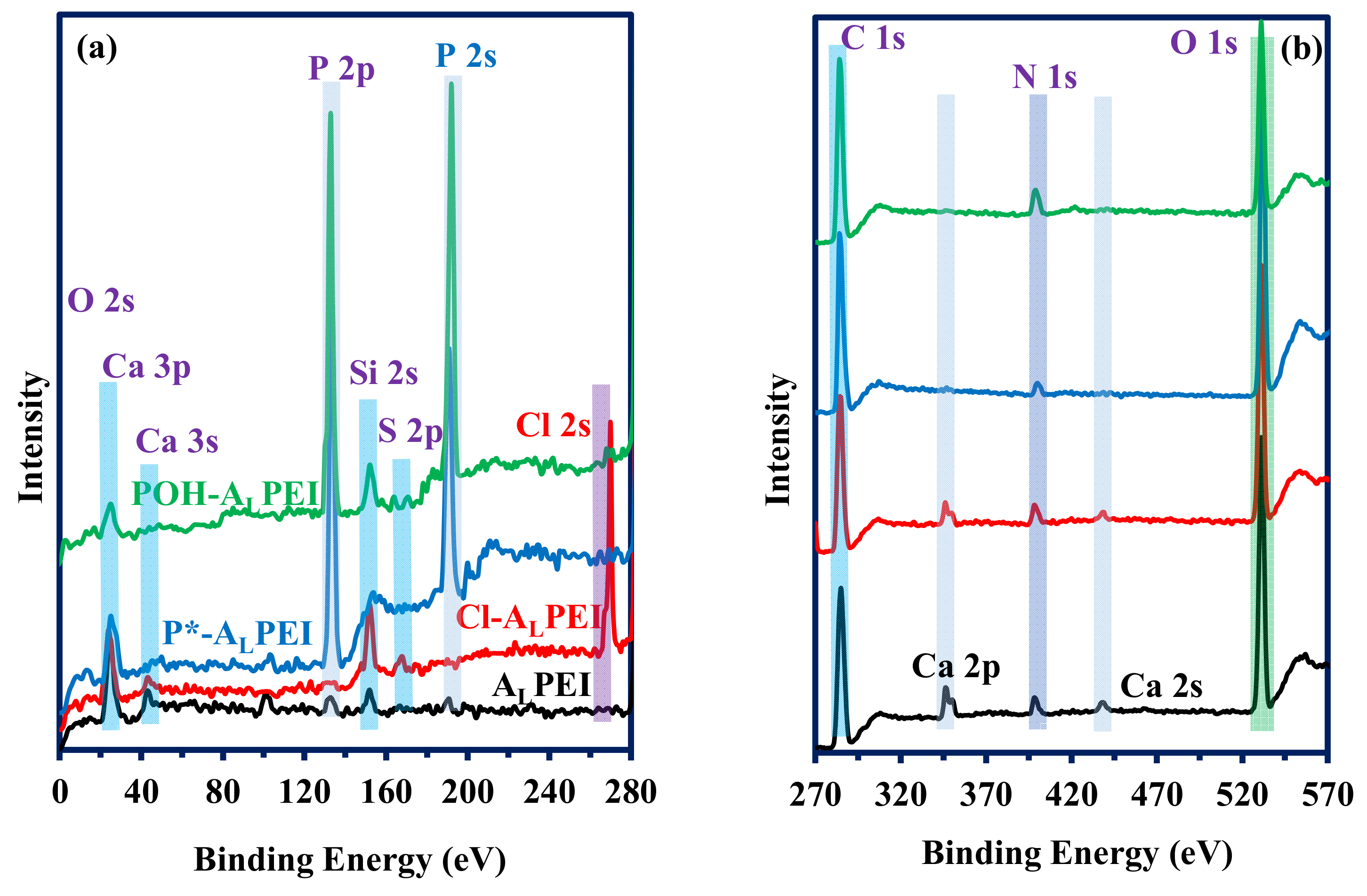 Polymers 13 01513 g003