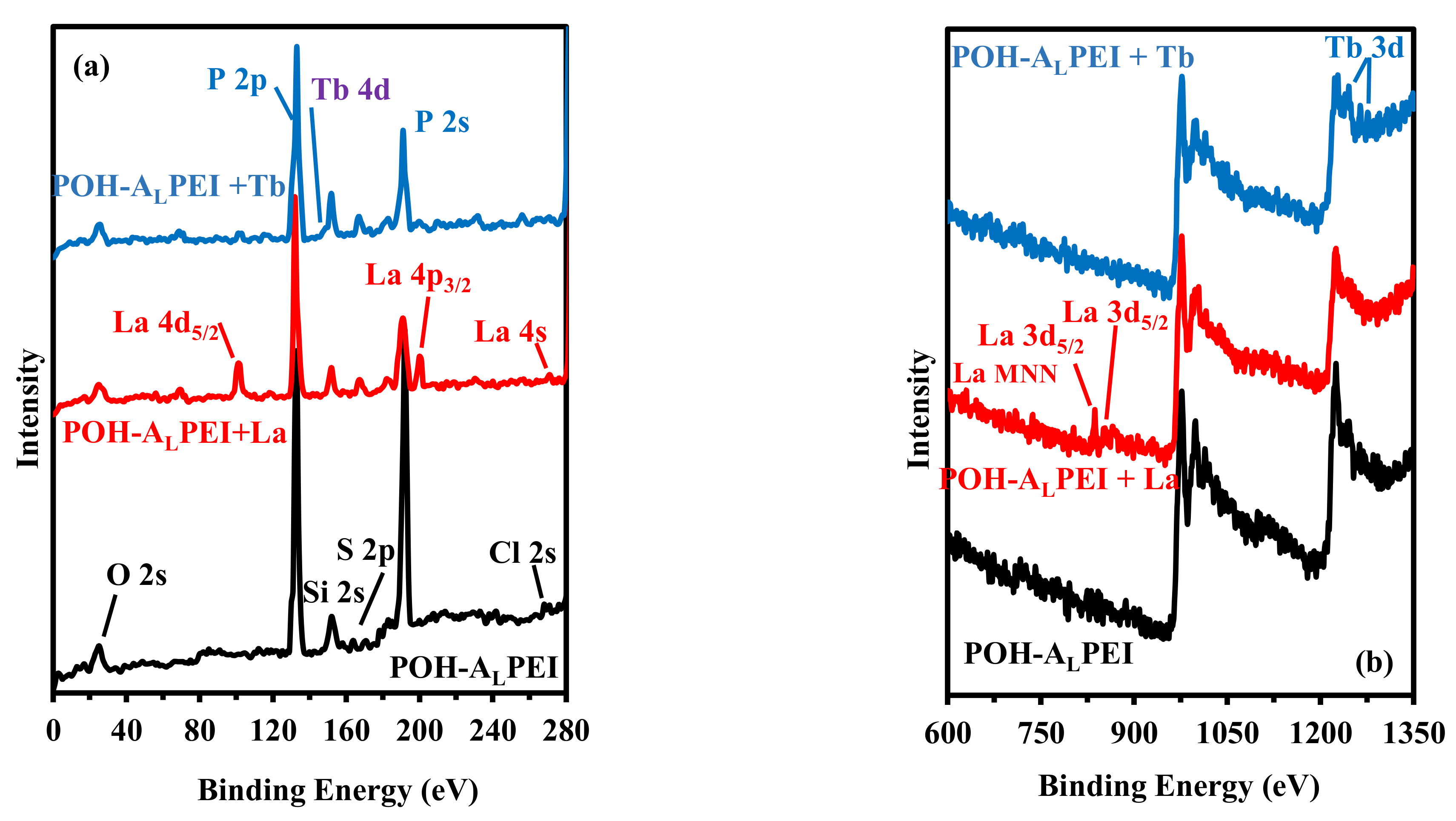 Polymers 13 01513 g009