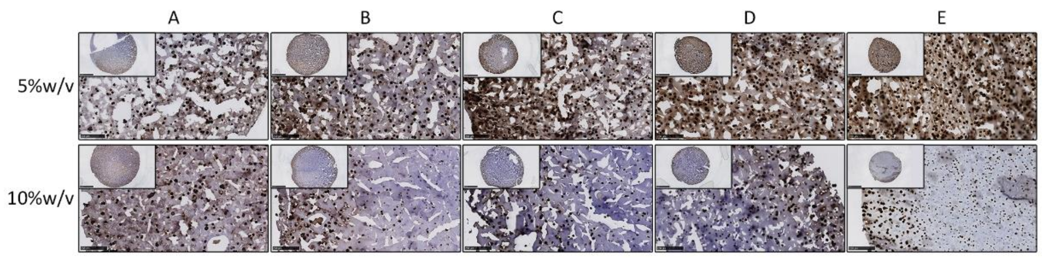 Polymers 13 01526 g004 Polymers 13 01526 g004