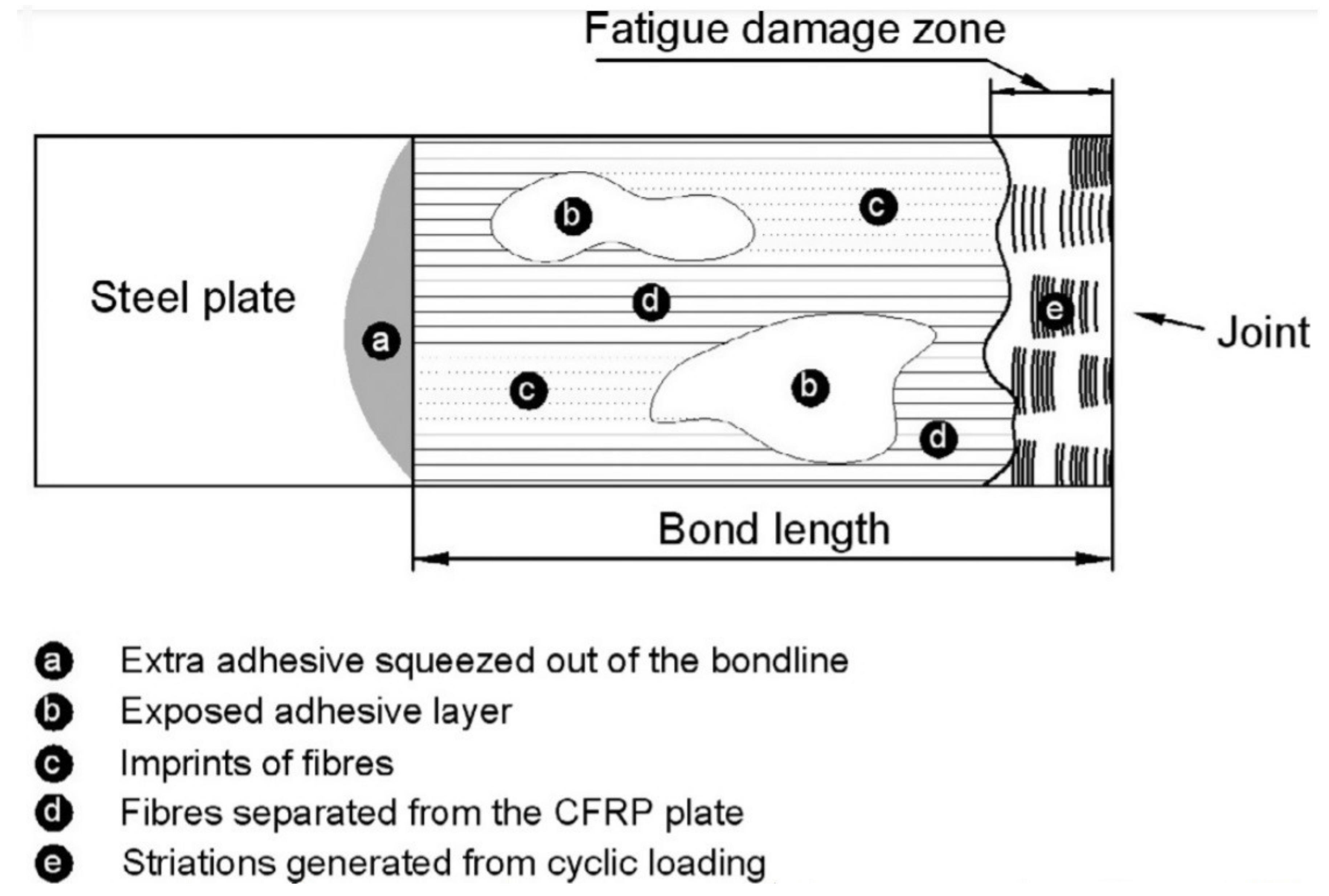 Polymers 13 01533 g005
