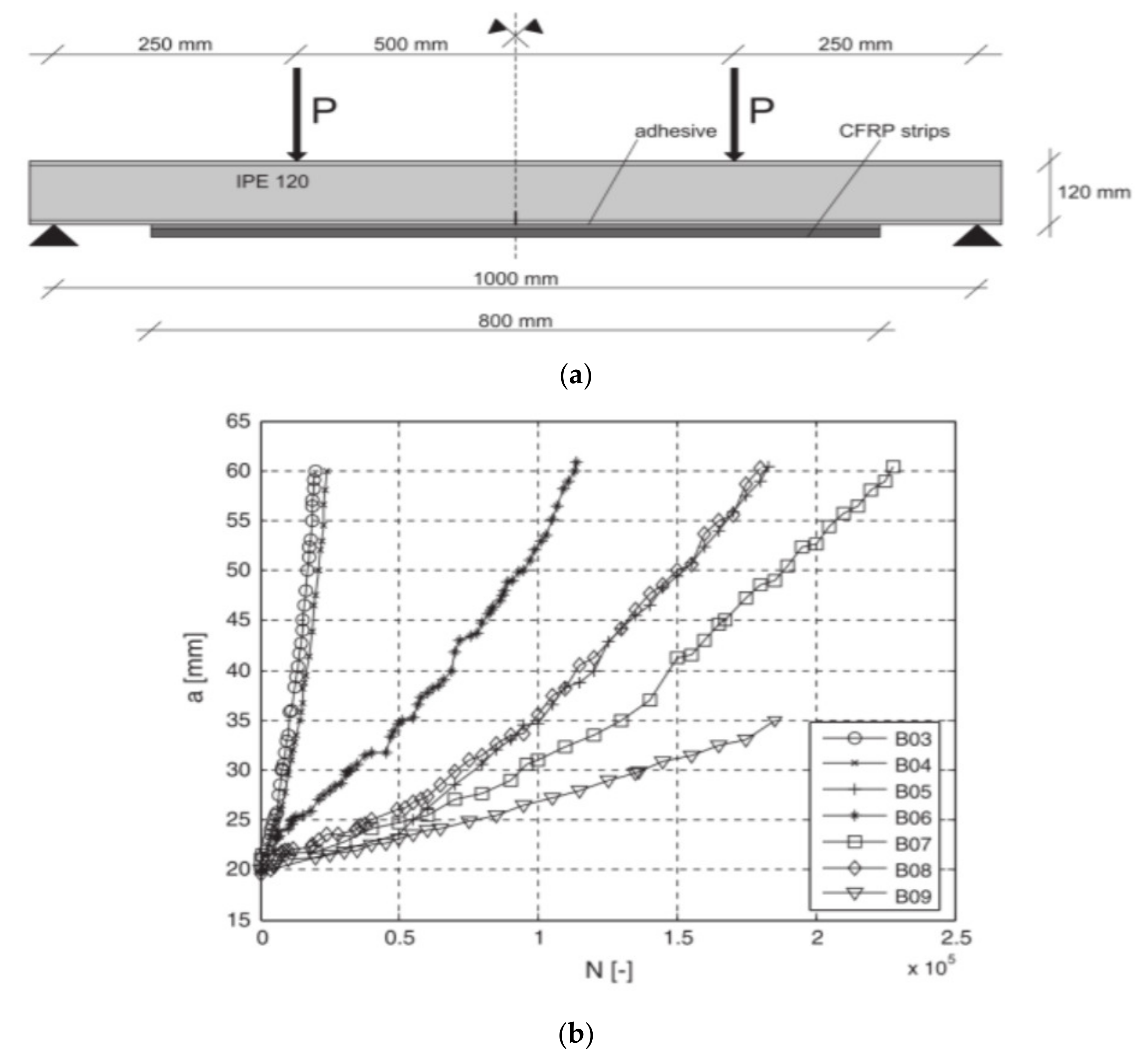 Polymers 13 01533 g013