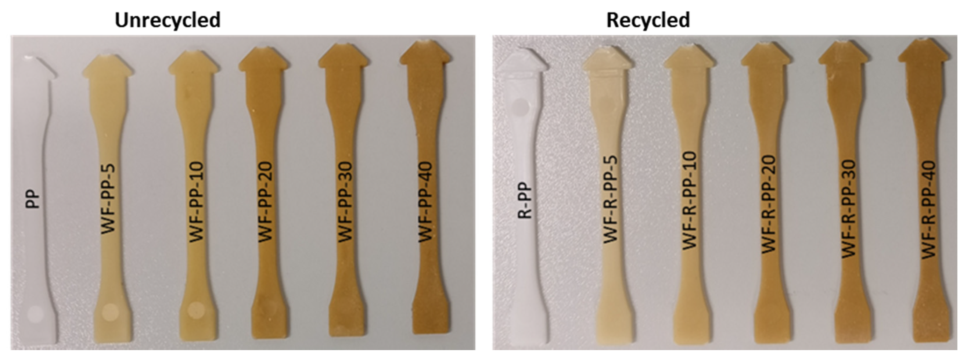 Polymers 13 01535 g001 Polymers 13 01535 g001