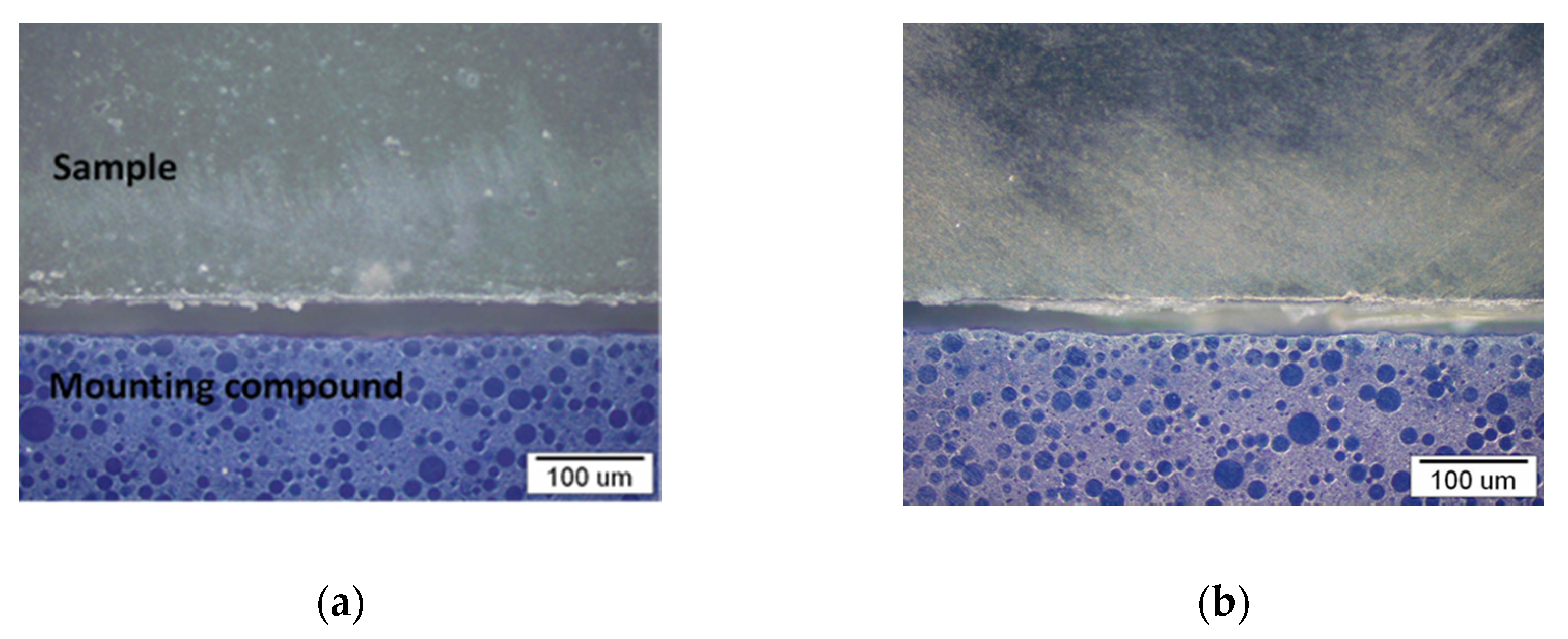 Polymers 13 01535 g008 Polymers 13 01535 g008